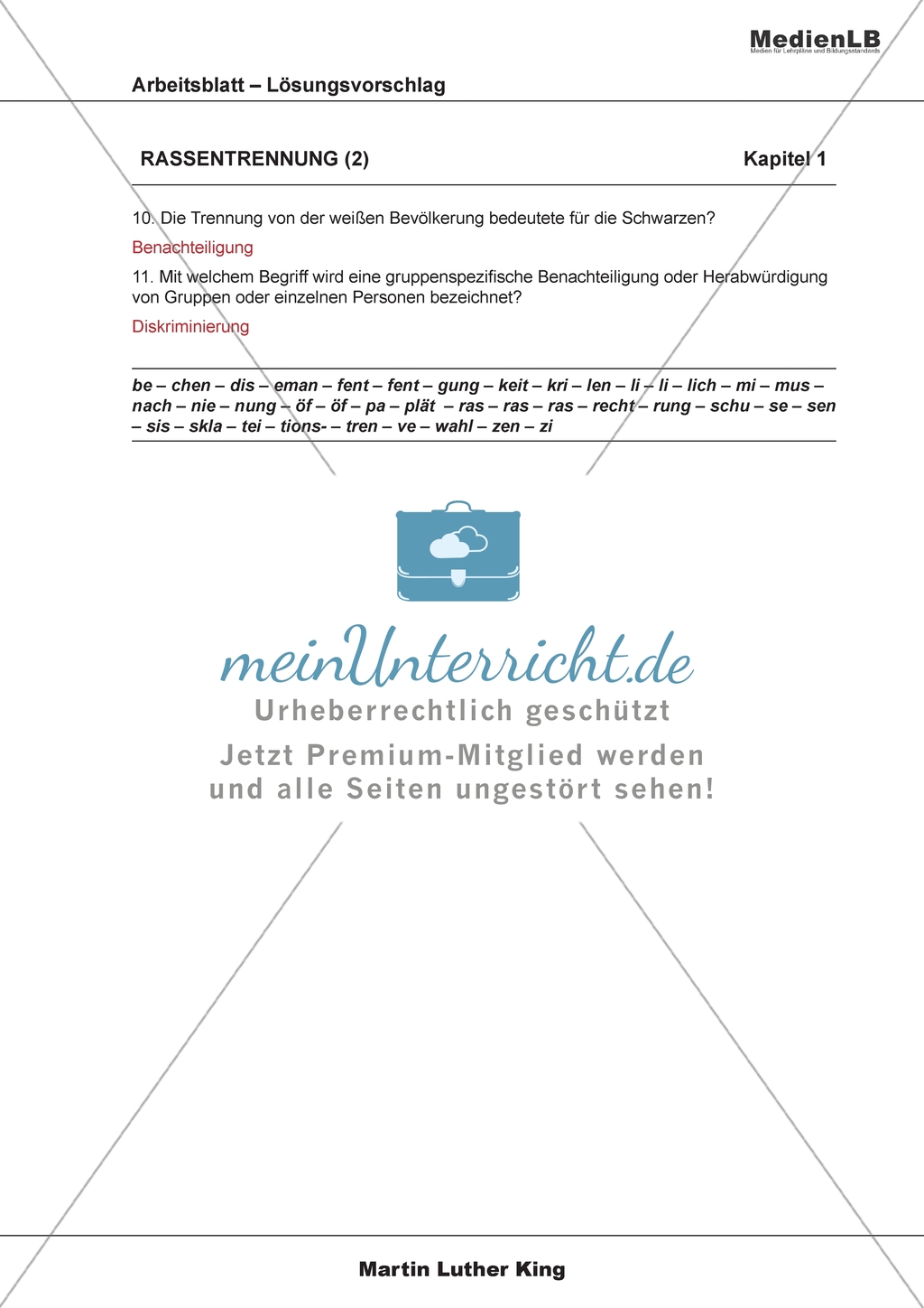 Martin Luther King: Rassentrennung Preview 4