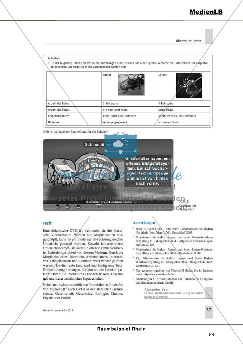 Der Rhein - Mediendidaktik Preview 8