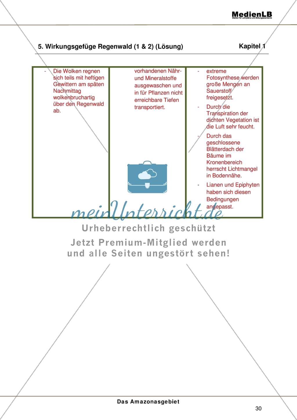 Das Amazonasgebiet - Wirkungsgefüge Regenwald Preview 4