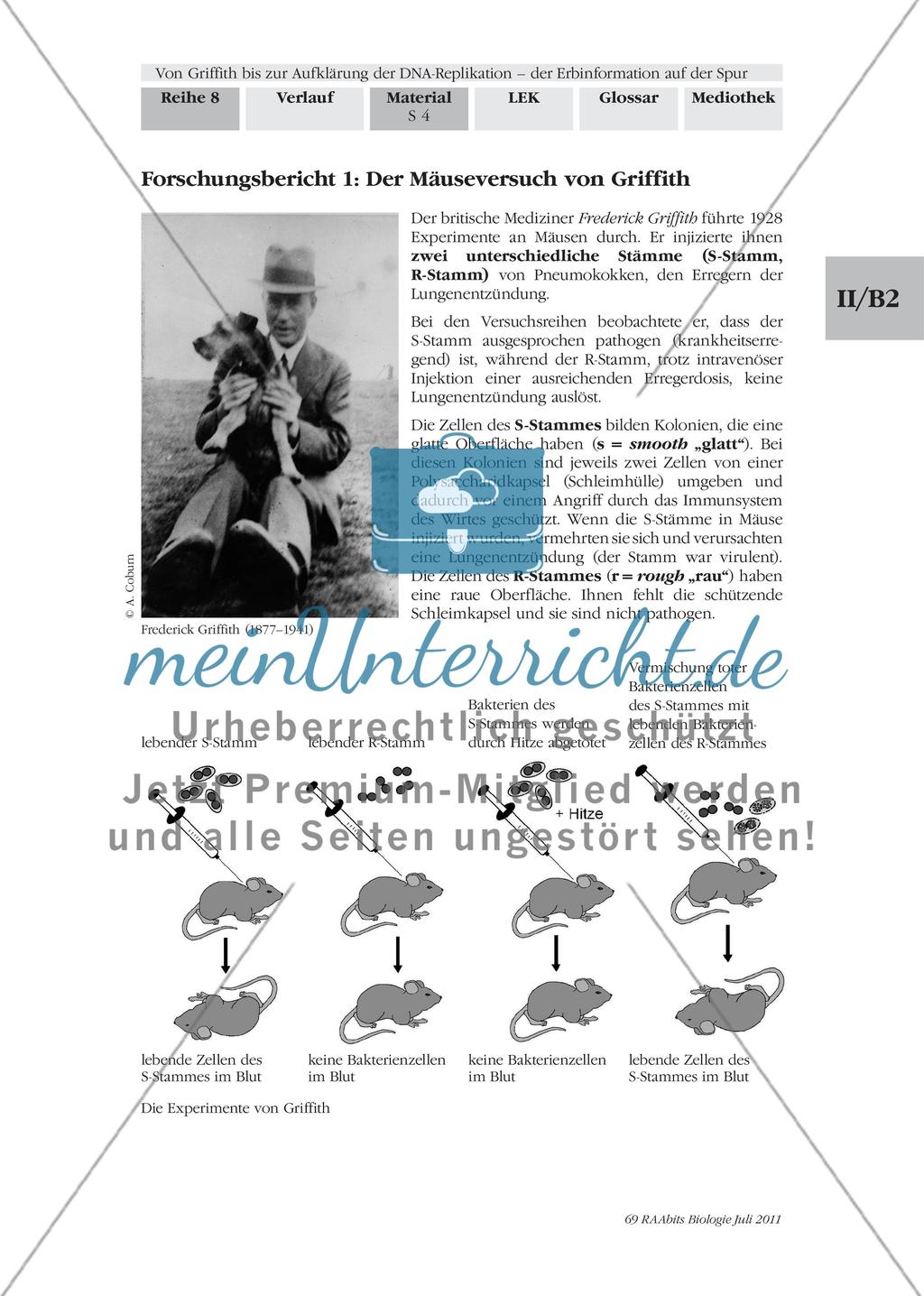Von Griffith bis zur Aufklärung der DNA-Replikation – der Erbinformation auf der Spur: M1-M2 Preview 3