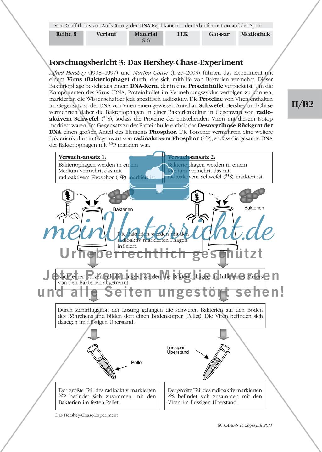 Von Griffith bis zur Aufklärung der DNA-Replikation – der Erbinformation auf der Spur: M1-M2 Preview 5
