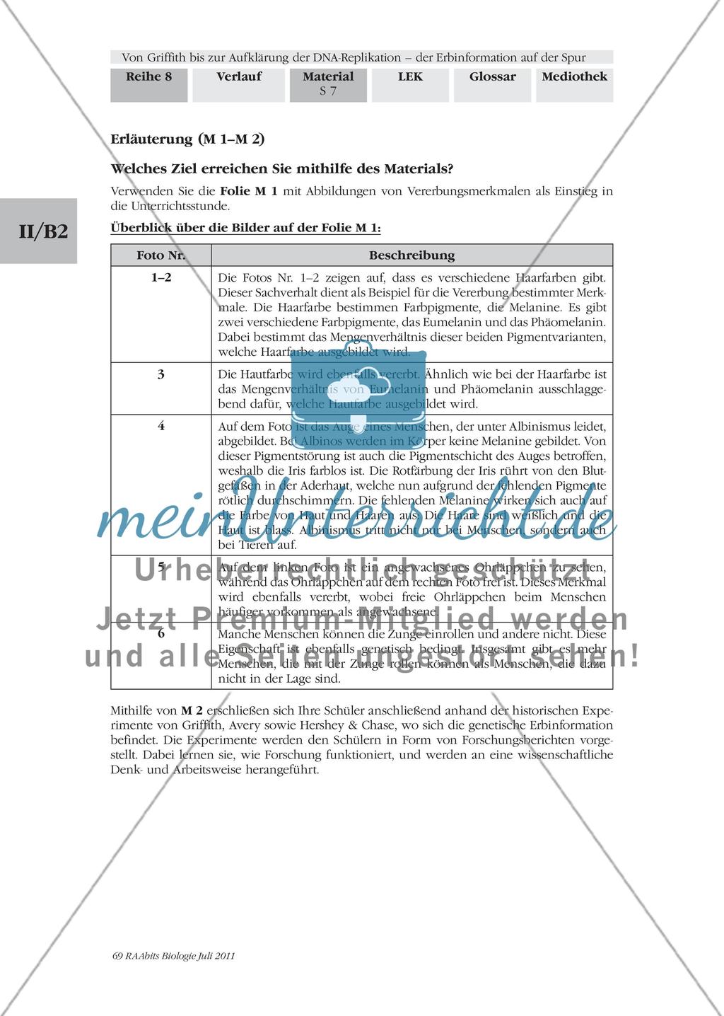 Von Griffith bis zur Aufklärung der DNA-Replikation – der Erbinformation auf der Spur: M1-M2 Preview 6