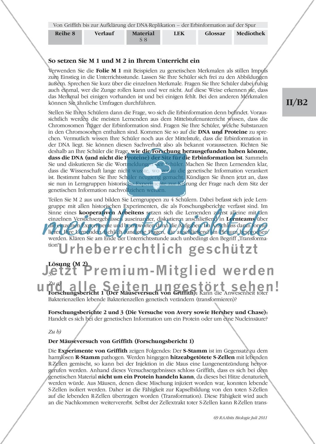 Von Griffith bis zur Aufklärung der DNA-Replikation – der Erbinformation auf der Spur: M1-M2 Preview 7