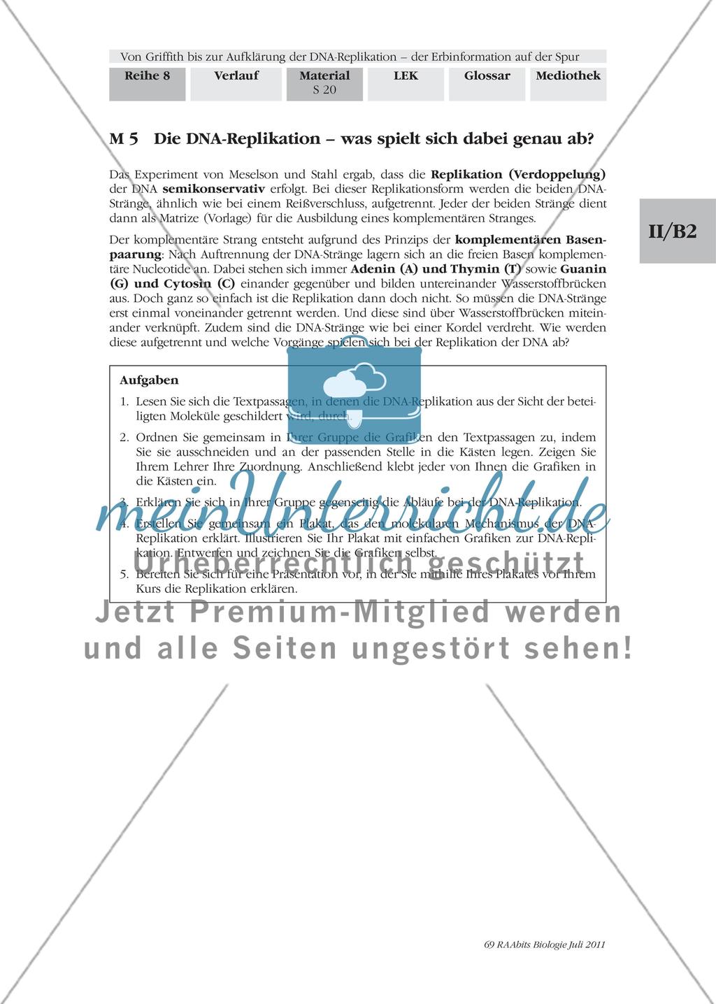 Die DNA-Replikation – was spielt sich dabei genau ab? Preview 1