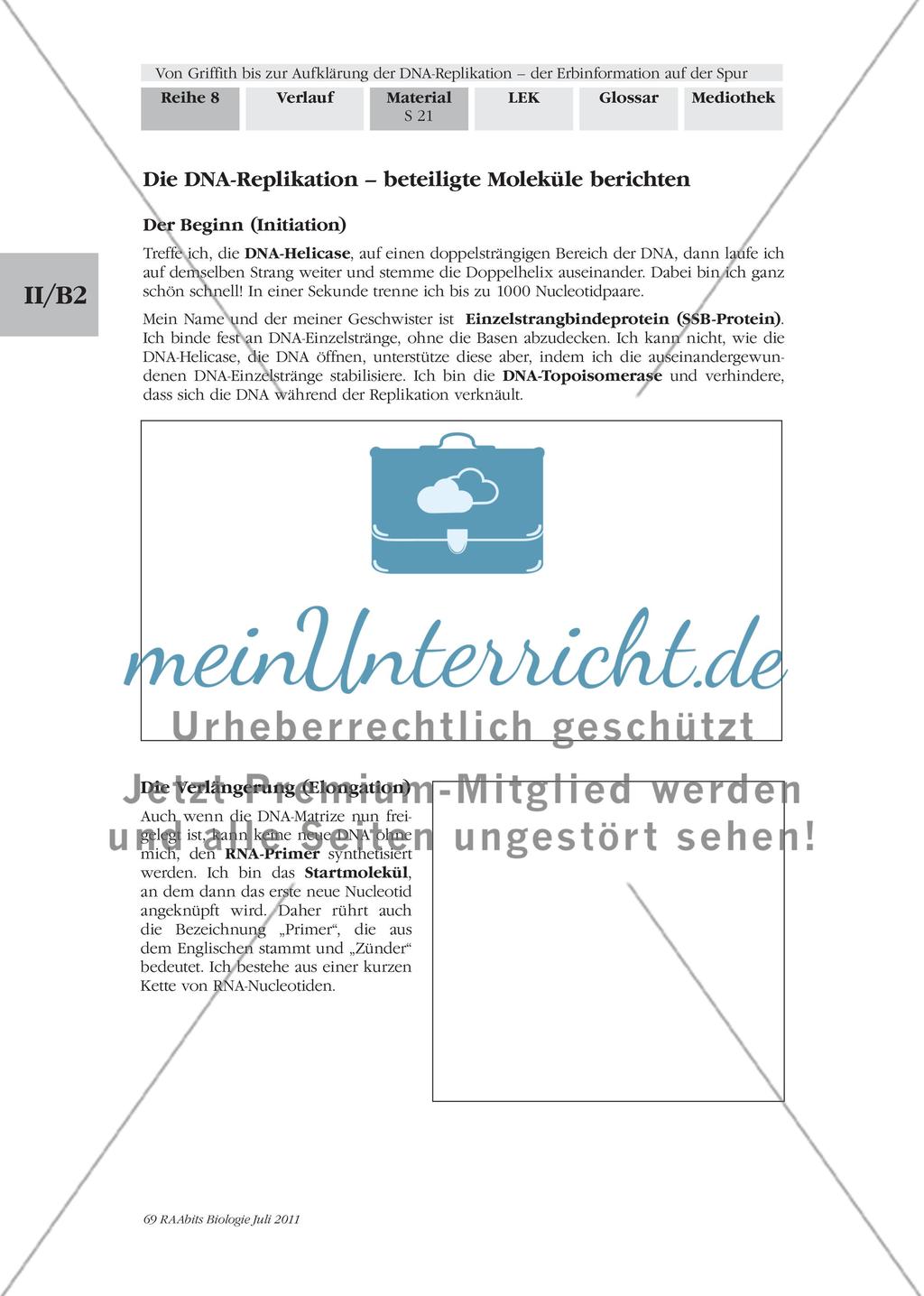 Die DNA-Replikation – was spielt sich dabei genau ab? Preview 2
