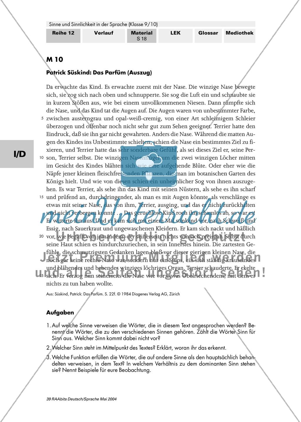 Die Sinnlichkeit der Sprache (II): Sehen und Schmecken / Die Wiedergabe von Sinneseindrücken in einem Text / Mit allen fünf Sinnen – das Zusammenspiel der Sinne in Text und Bild Preview 8