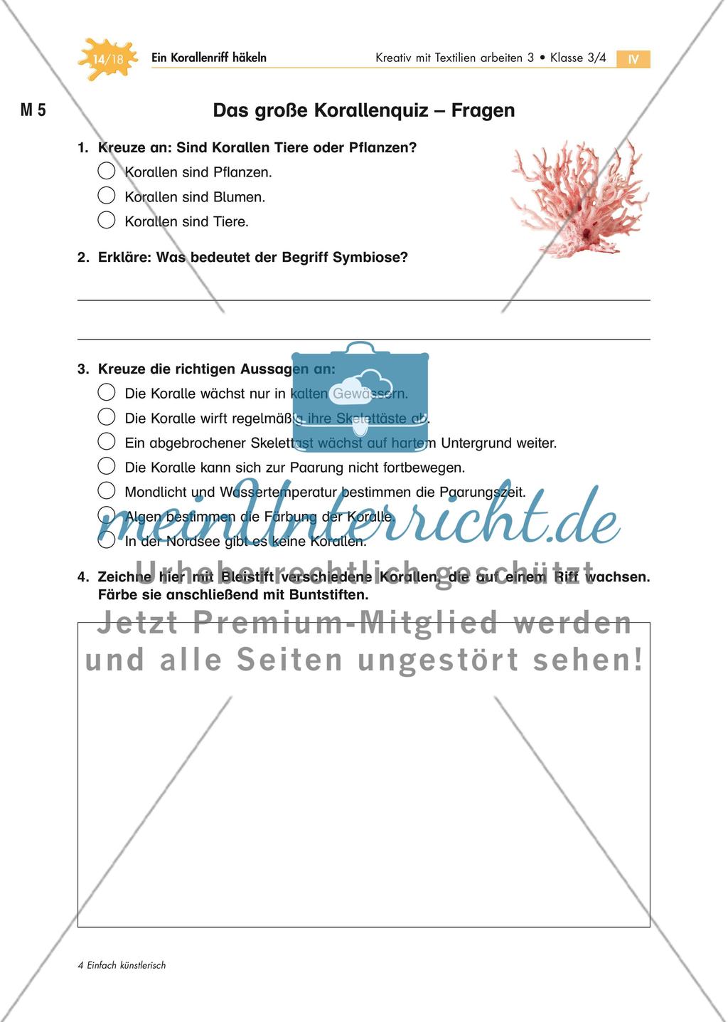 Abtauchen und staunen – Ein Korallenriff häkeln Preview 14