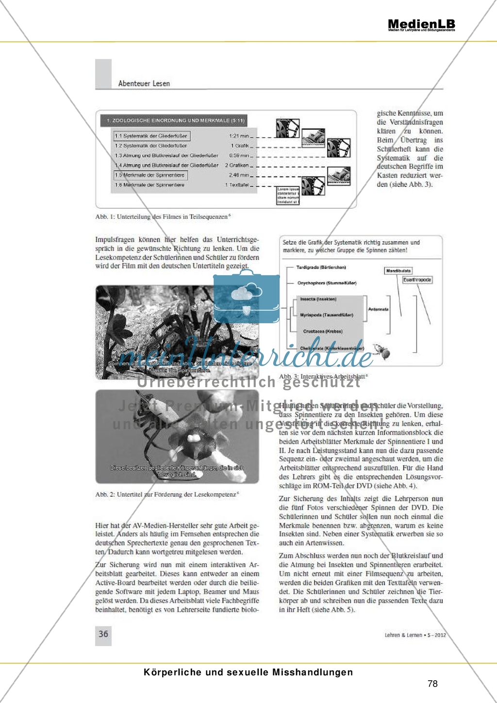Mediendidaktik Preview 7