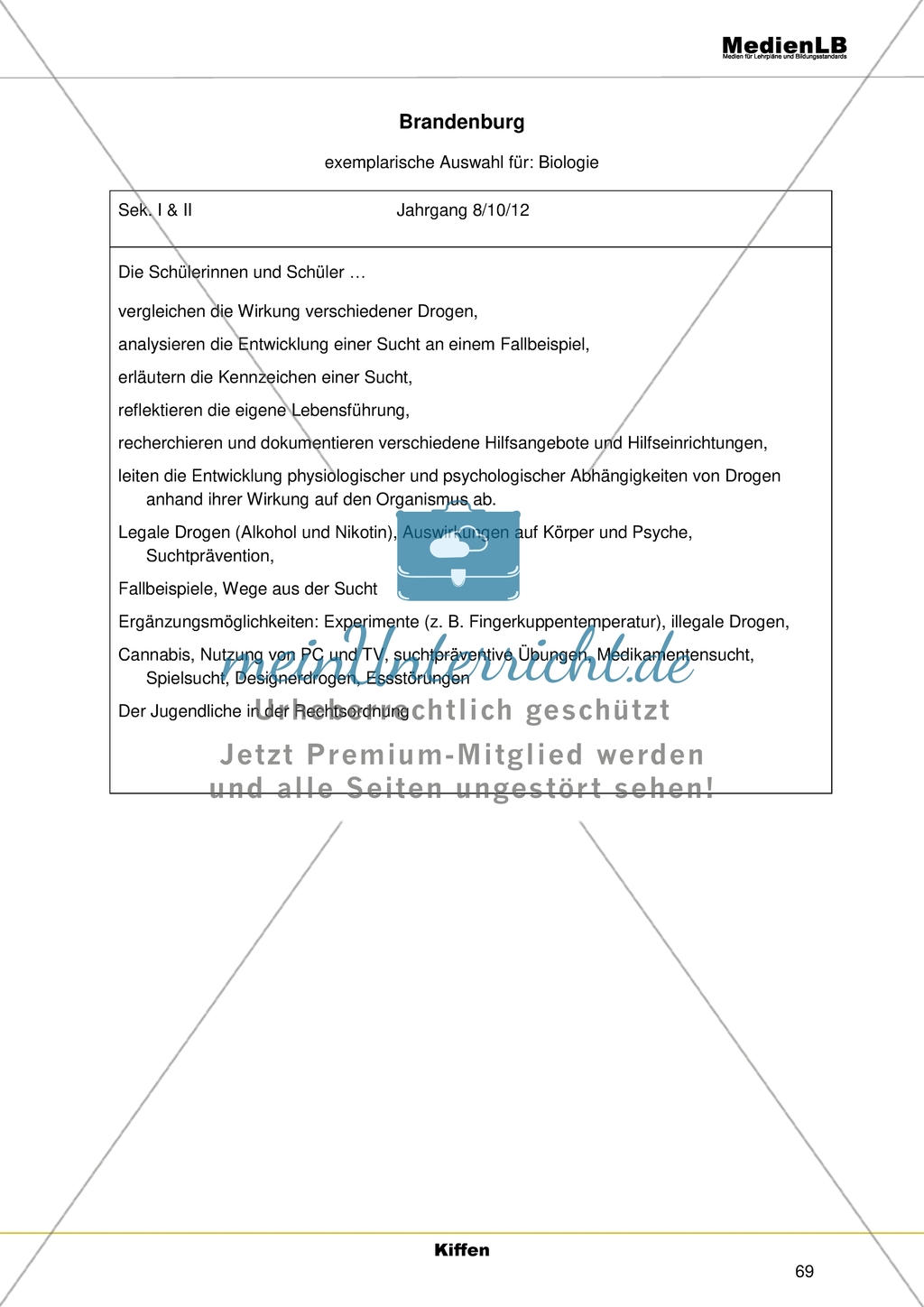Themenfeld