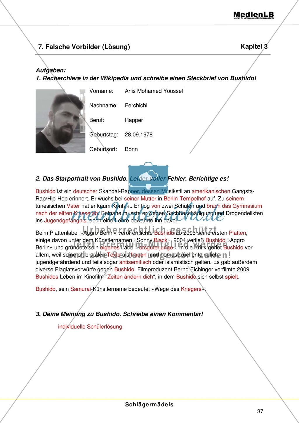 Gewalt unter jungen Frauen - Falsche Vorbilder Preview 2