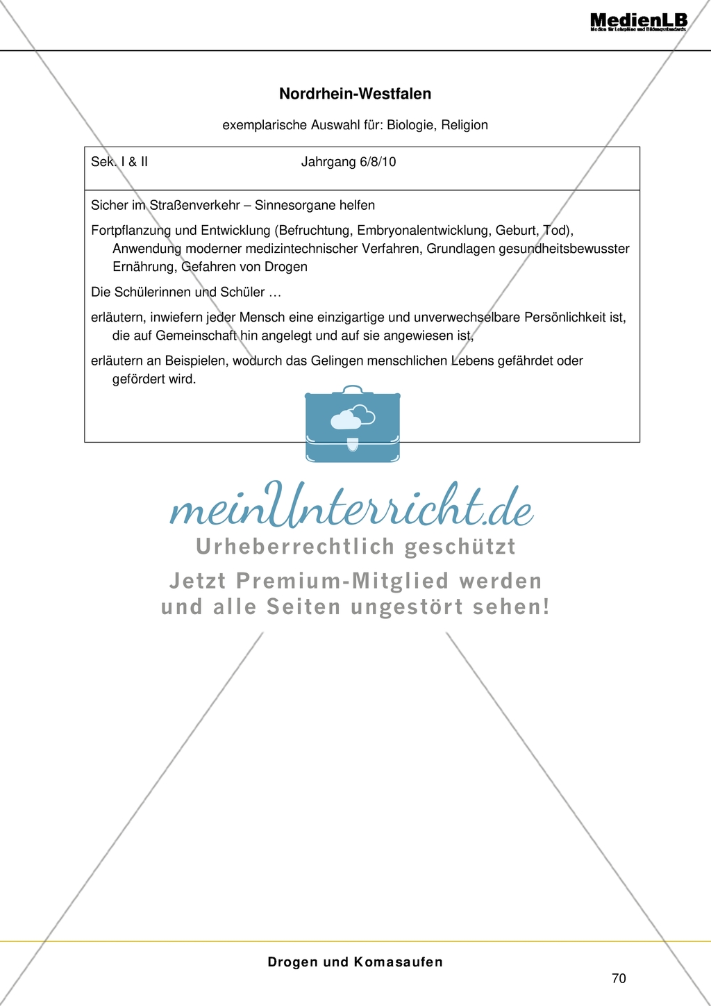 Themenfeld