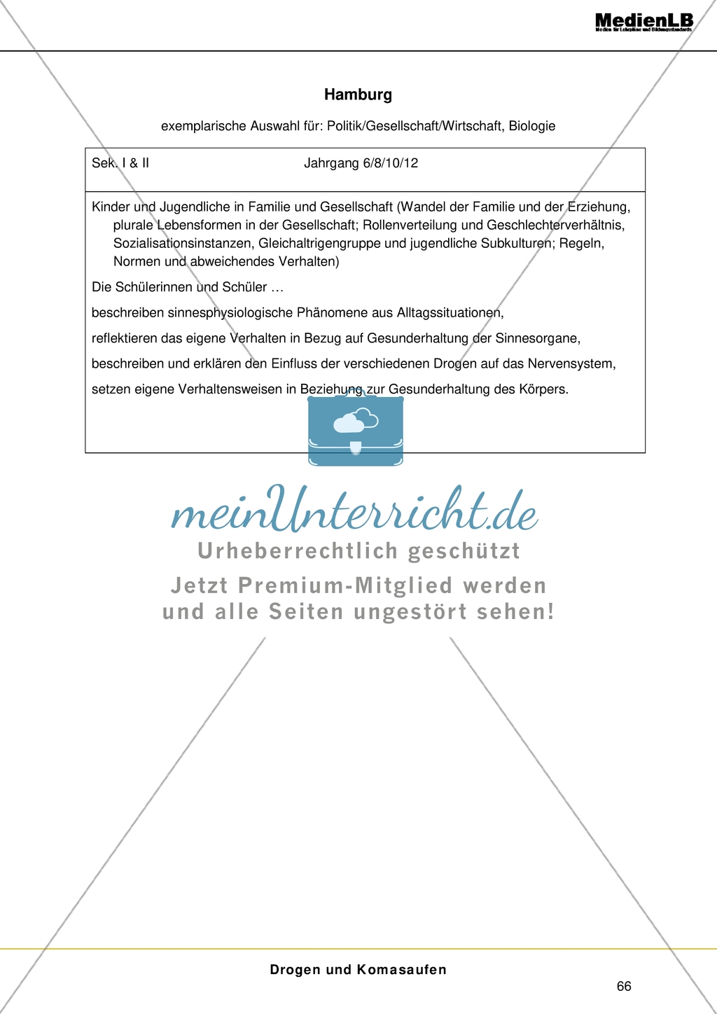 Themenfeld