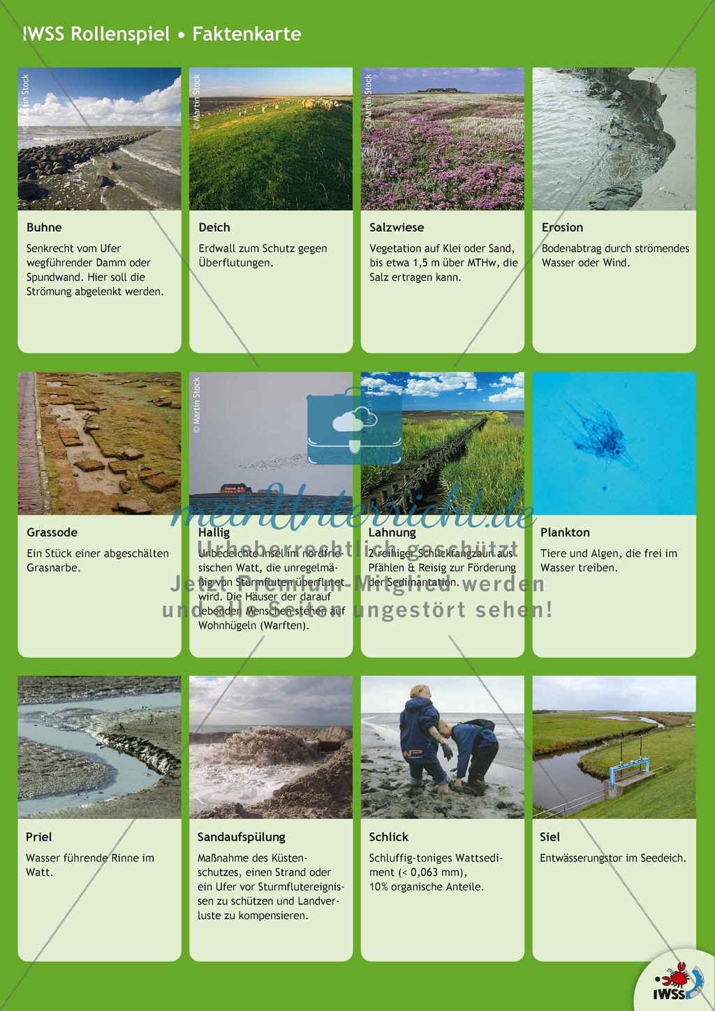 Klimawandel im Wattenmeer Preview 23
