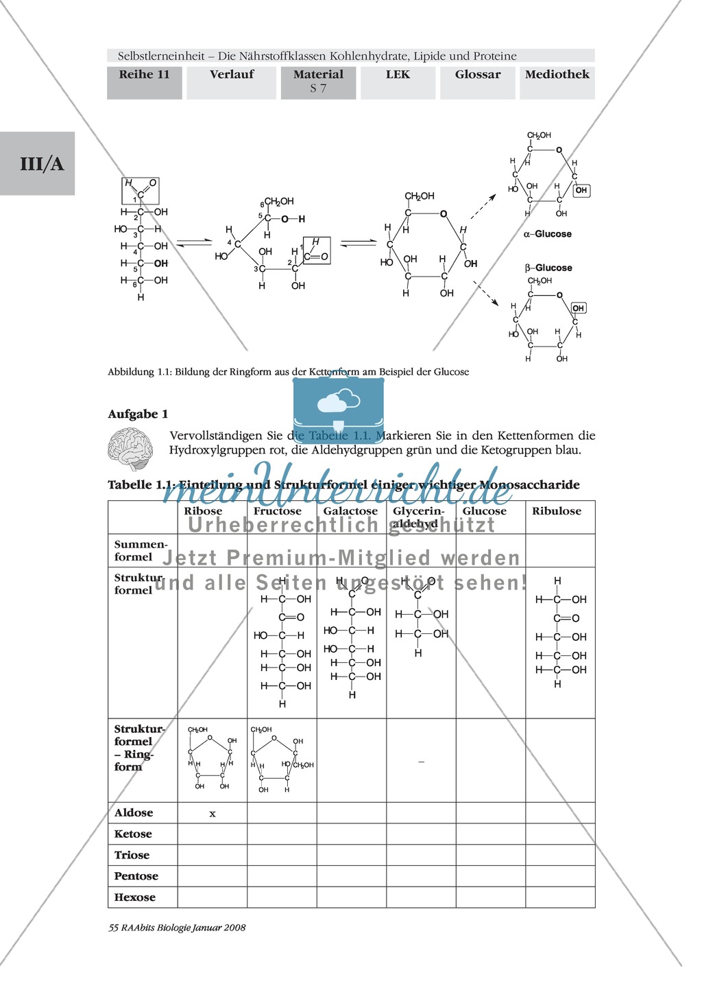 Unterrichtsreihe Bakterien: mikrobiologische Arbeitsweisen + Sicherheitsbestimmungen Preview 3