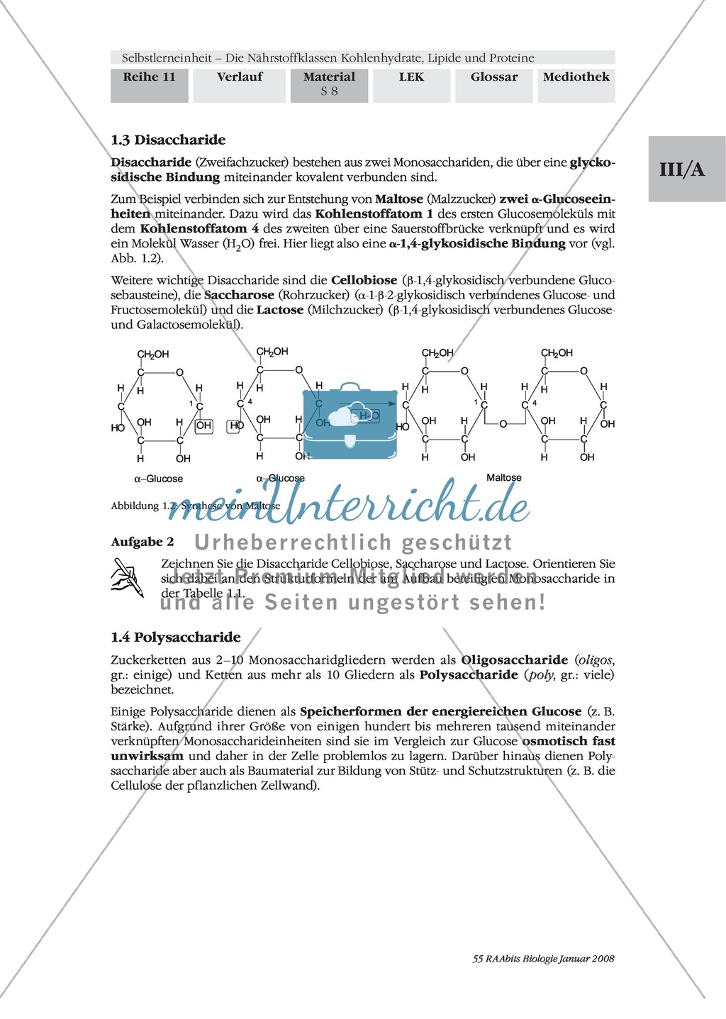 Unterrichtsreihe Bakterien: mikrobiologische Arbeitsweisen + Sicherheitsbestimmungen Preview 4