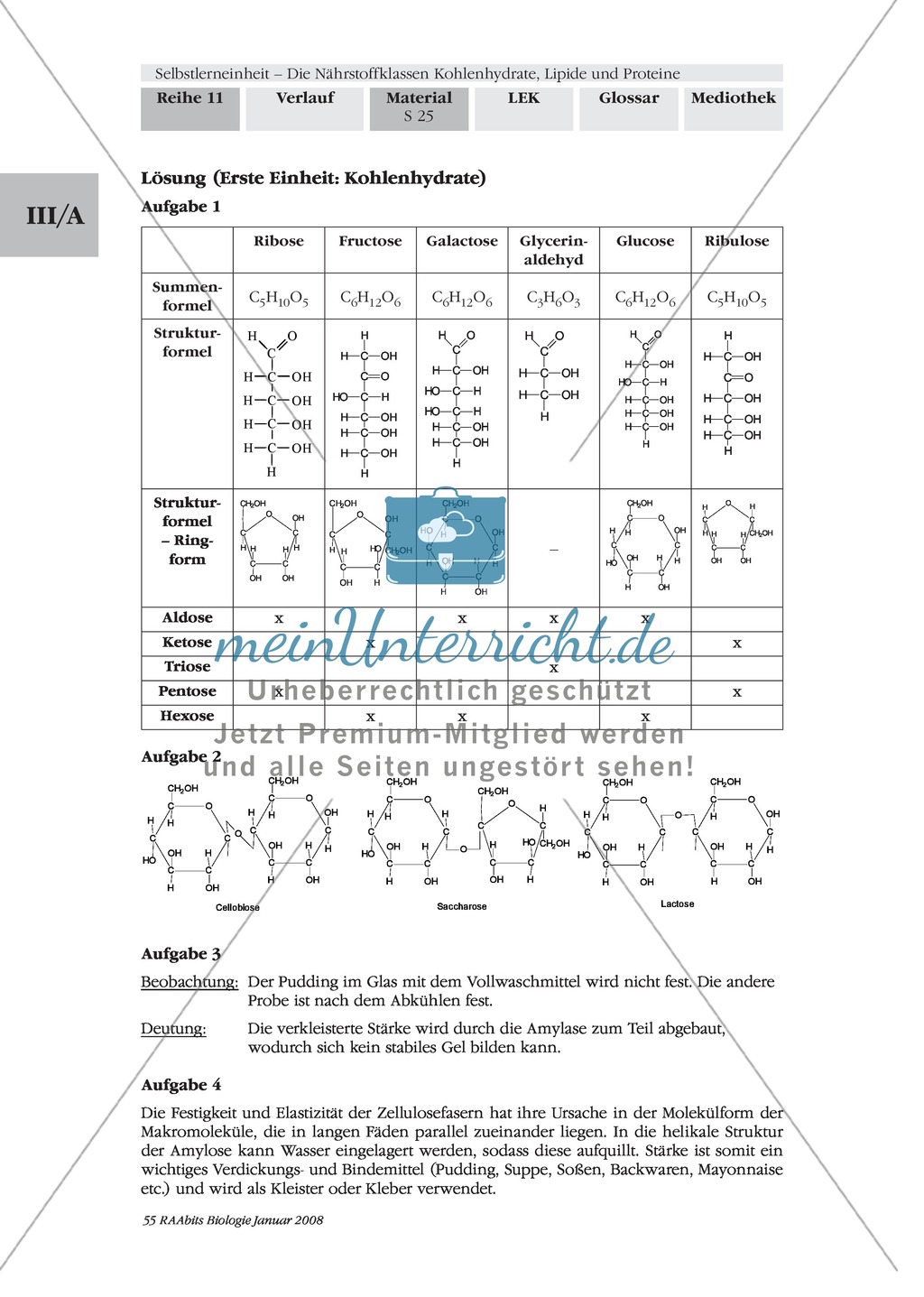 Unterrichtsreihe Bakterien: mikrobiologische Arbeitsweisen + Sicherheitsbestimmungen Preview 5