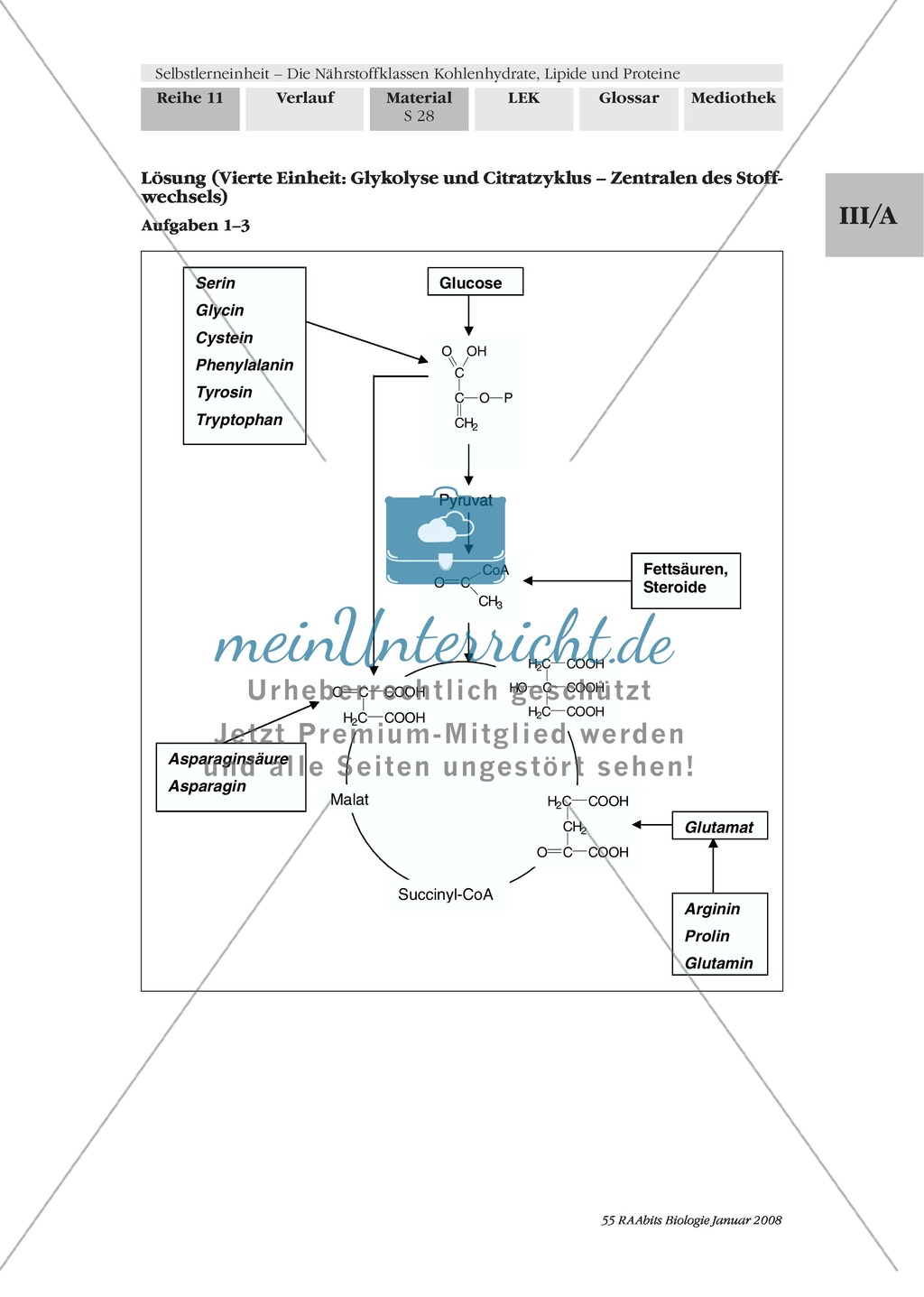 Unterrichtsreihe Bakterien: mikrobiologische Arbeitsweisen + Sicherheitsbestimmungen Preview 8
