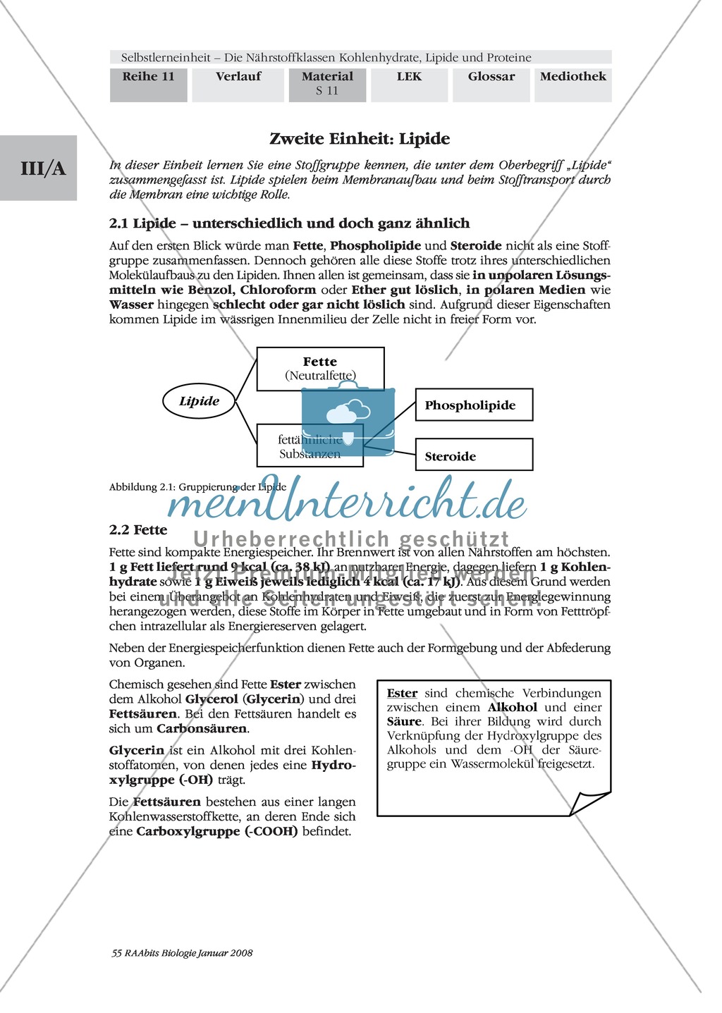 Erschließen der Struktur und Funktionsweise von Nährstoffen am Beispiel Proteine.Mit Arbeitsmaterial und Lösungen. Preview 2