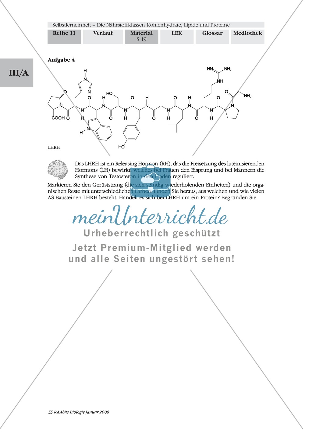 Erschließen der Struktur und Funktionsweise von Nährstoffen am Beispiel Proteine.Mit Arbeitsmaterial und Lösungen. Preview 4