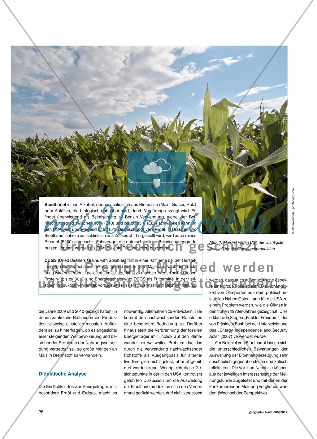 Bioethanol - Ein alternativer Energieträger und seine Probleme Preview 2