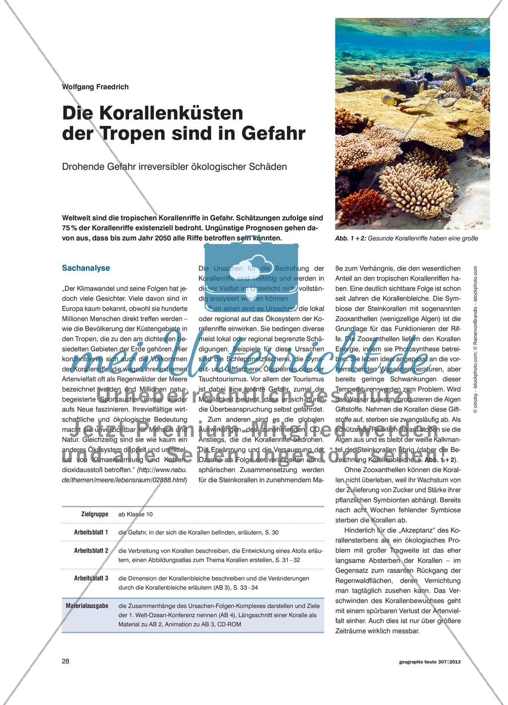 Die Korallenküsten der Tropen sind in Gefahr - Drohende Gefahr irreversibler ökologischer Schäden Preview 1
