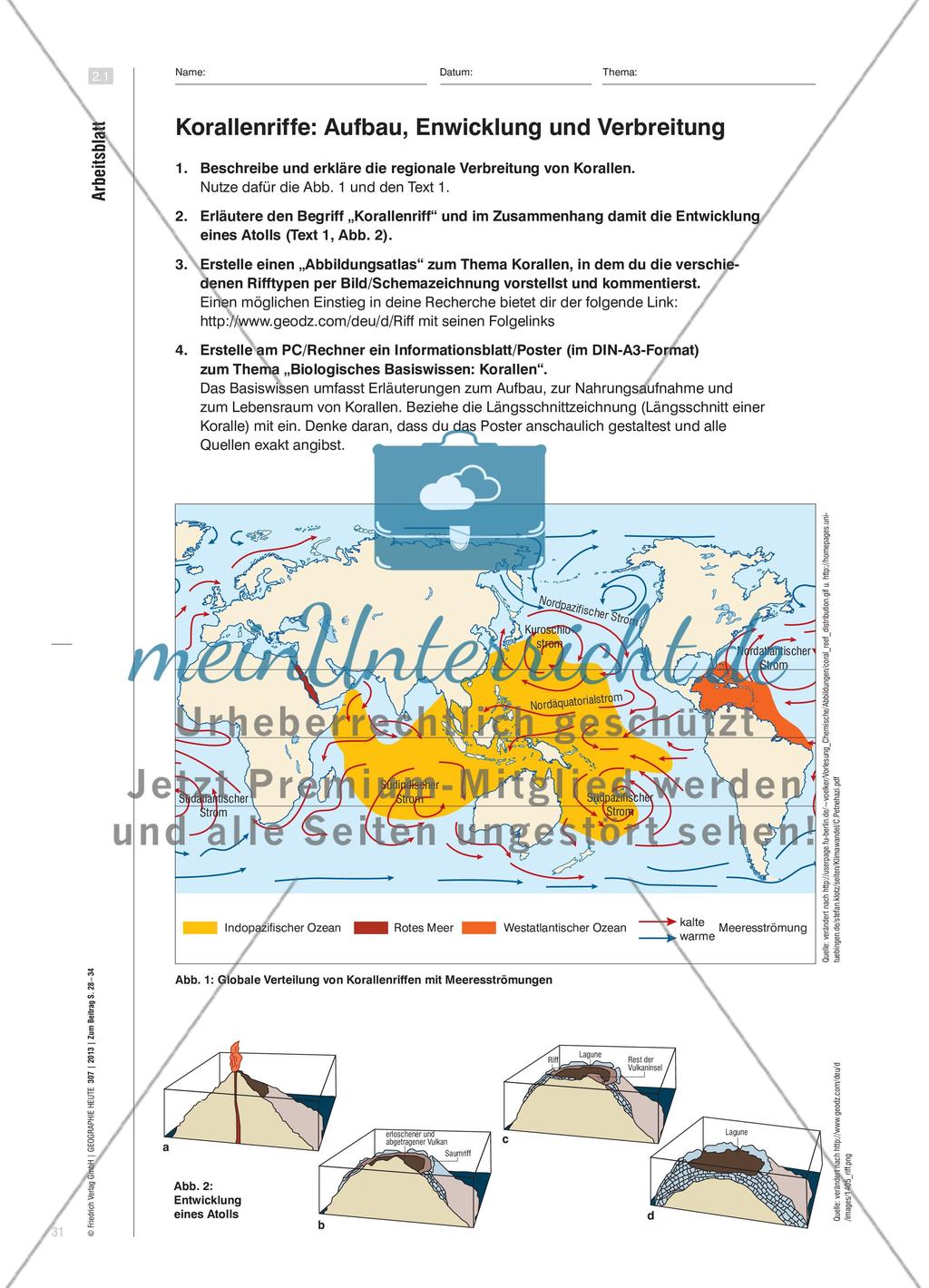 Die Korallenküsten der Tropen sind in Gefahr - Drohende Gefahr irreversibler ökologischer Schäden Preview 4
