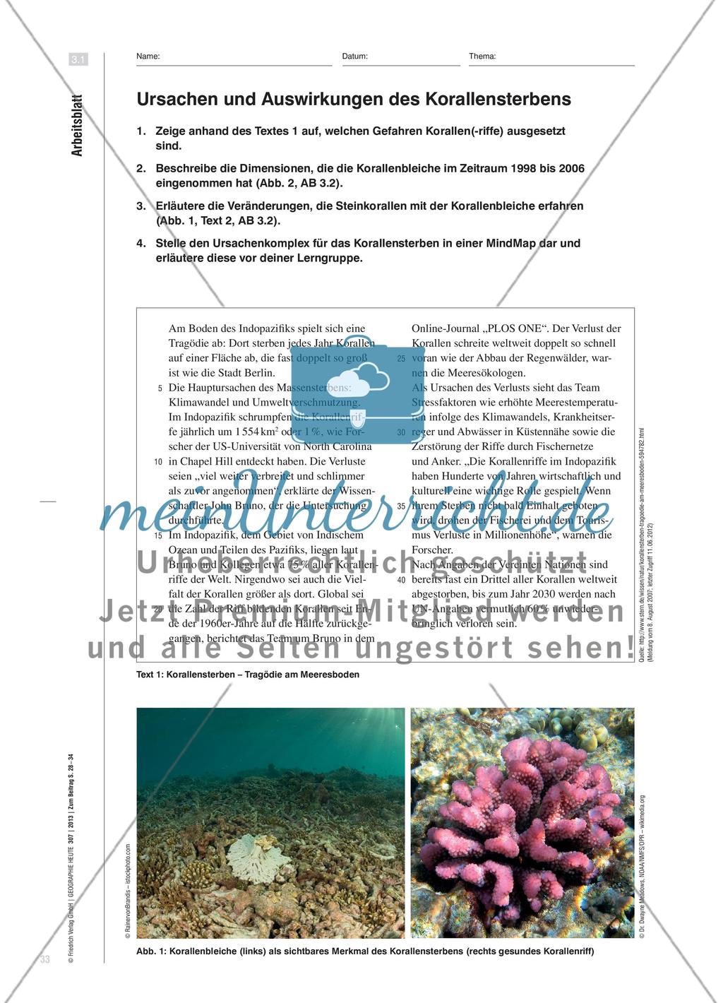 Die Korallenküsten der Tropen sind in Gefahr - Drohende Gefahr irreversibler ökologischer Schäden Preview 6