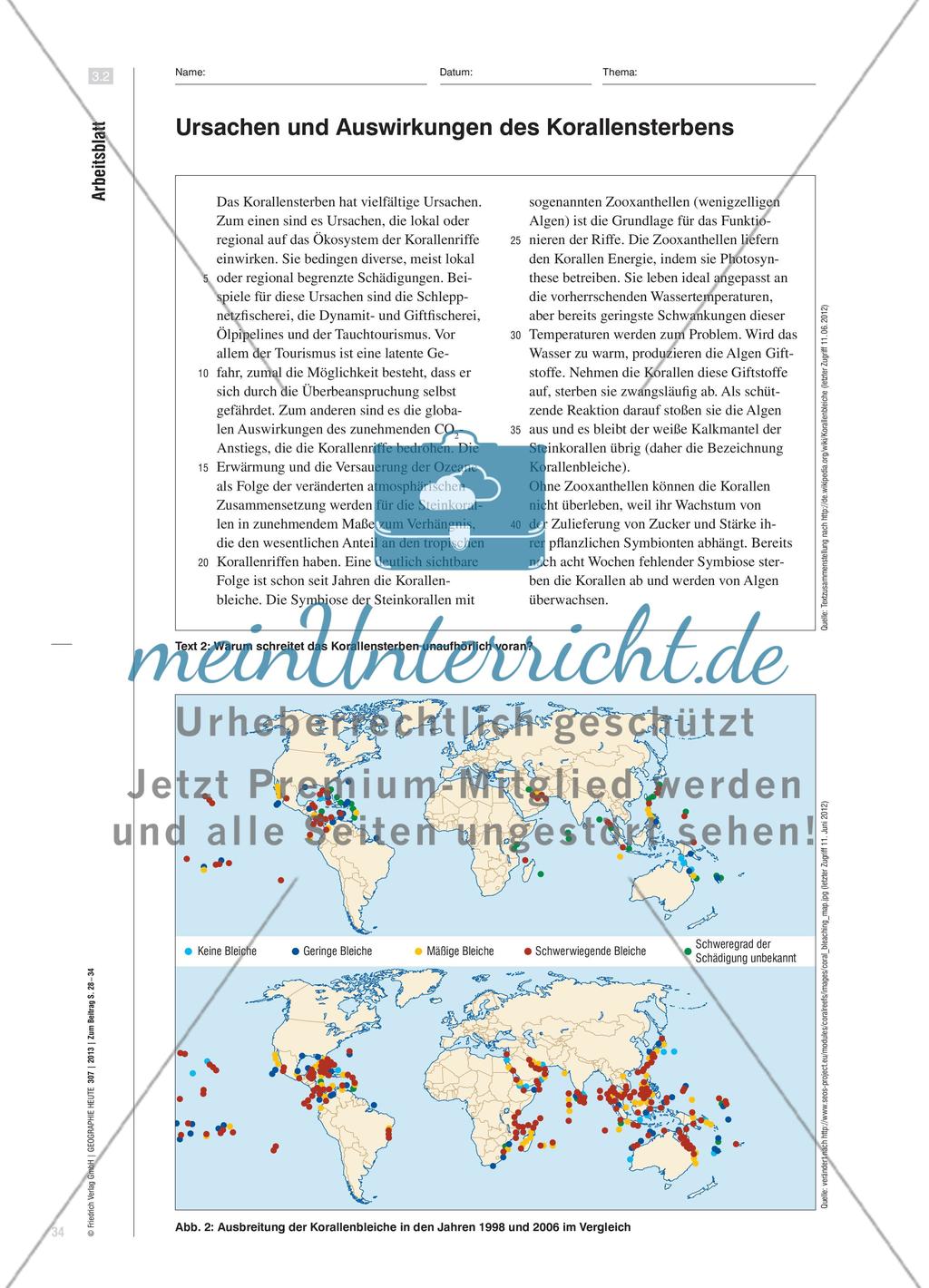 Die Korallenküsten der Tropen sind in Gefahr - Drohende Gefahr irreversibler ökologischer Schäden Preview 7