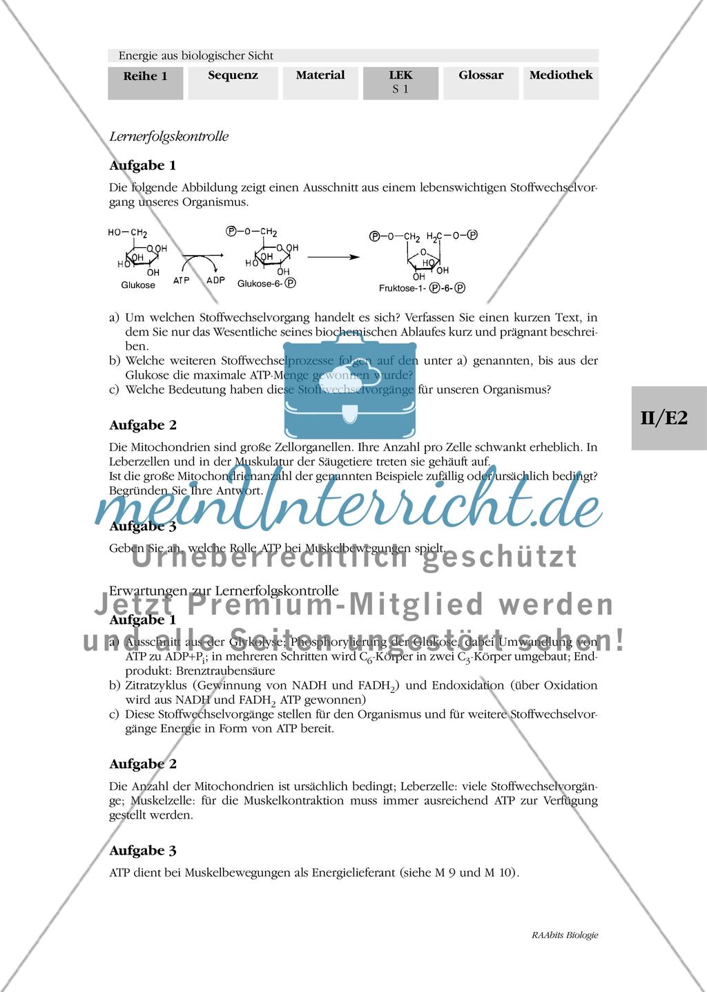 Energie aus biologischer Sicht - Lernerfolgskontrolle Preview 1