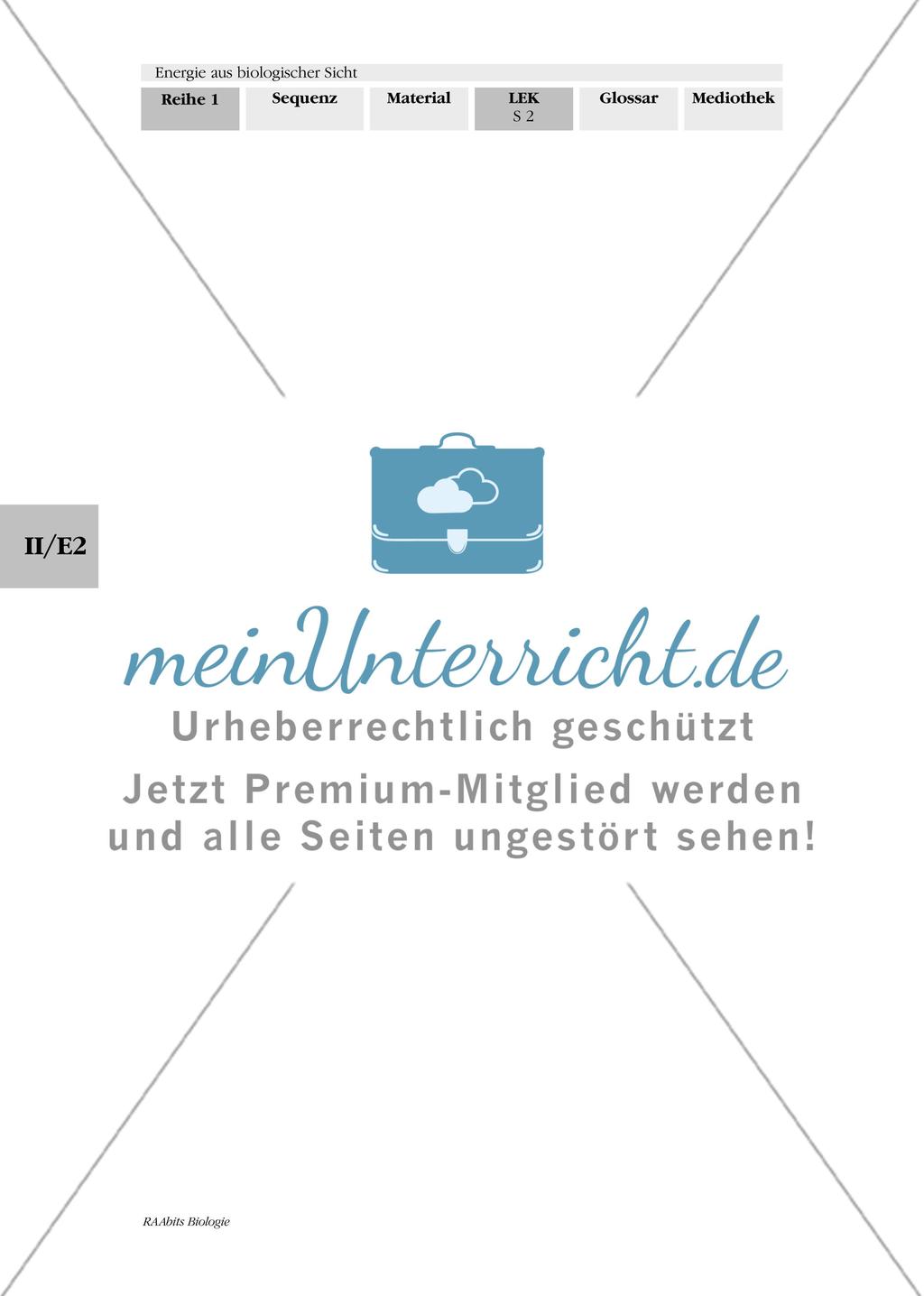 Energie aus biologischer Sicht - Lernerfolgskontrolle Preview 2