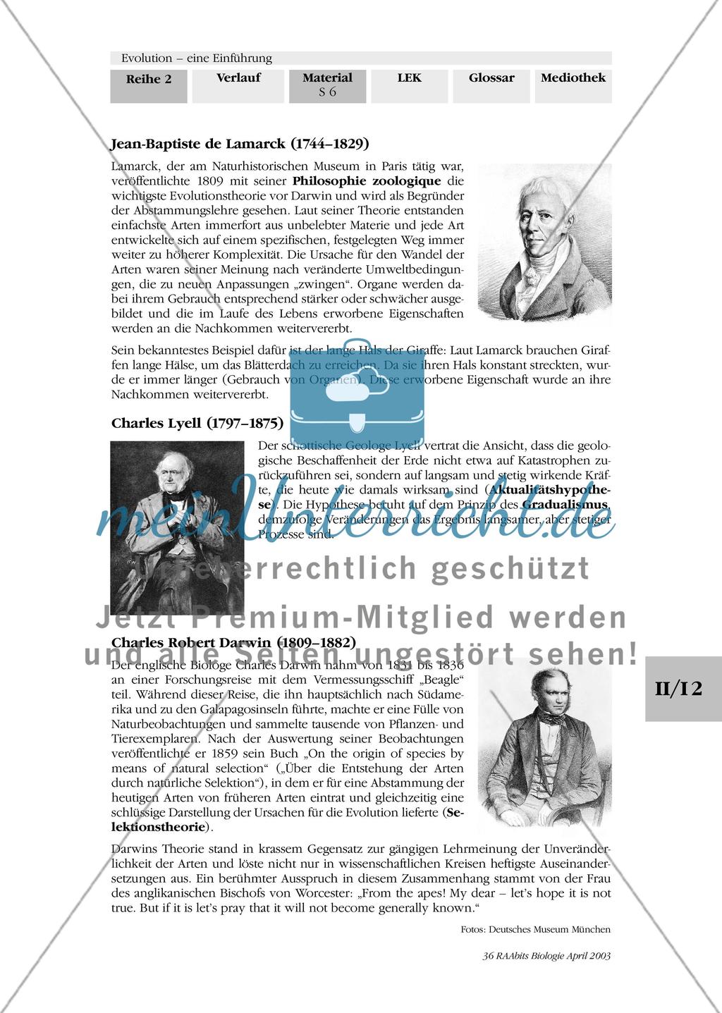 Evolutionstheorie Preview 2