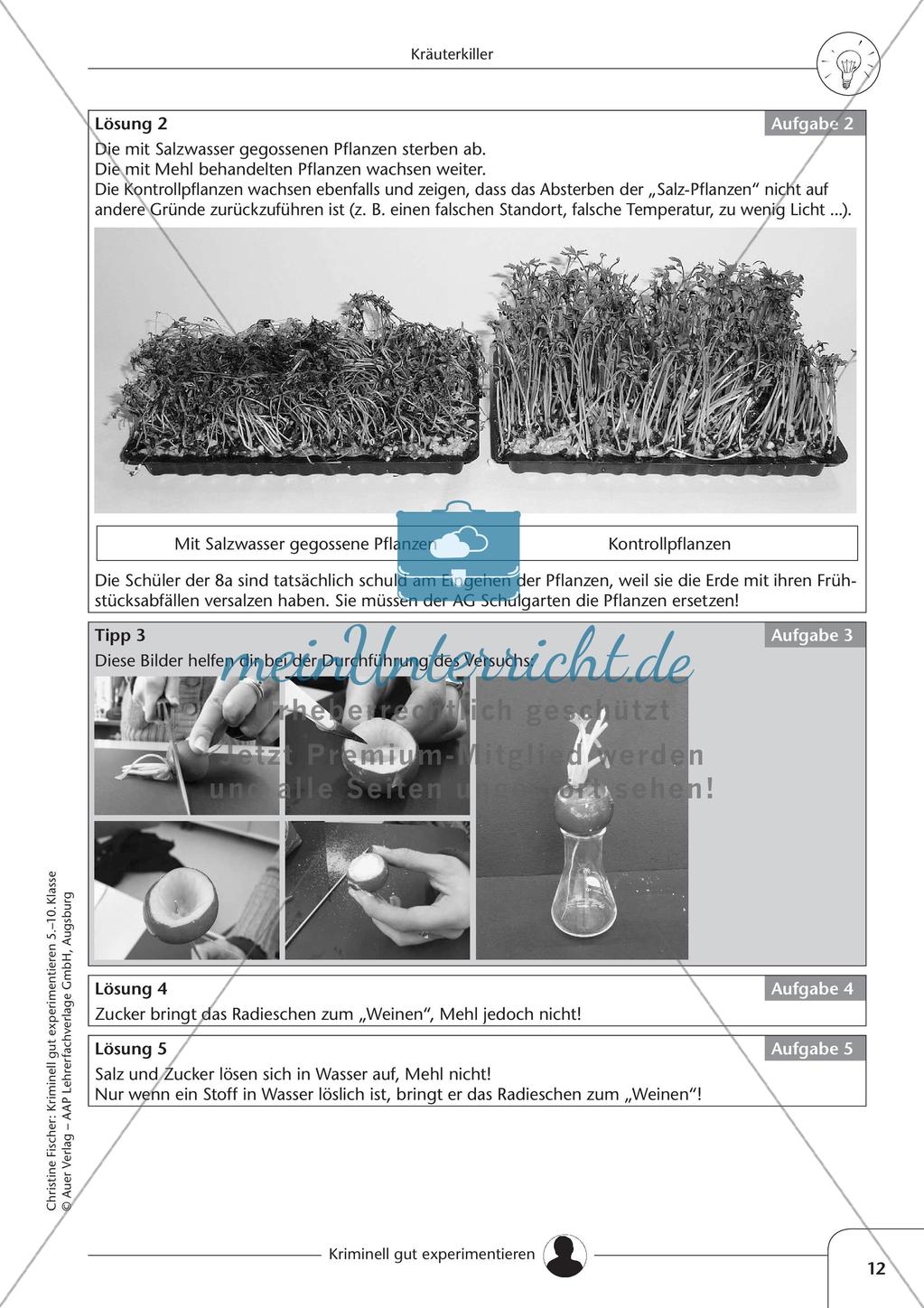 Experimente zur Diffusion und zur Osmose Preview 14