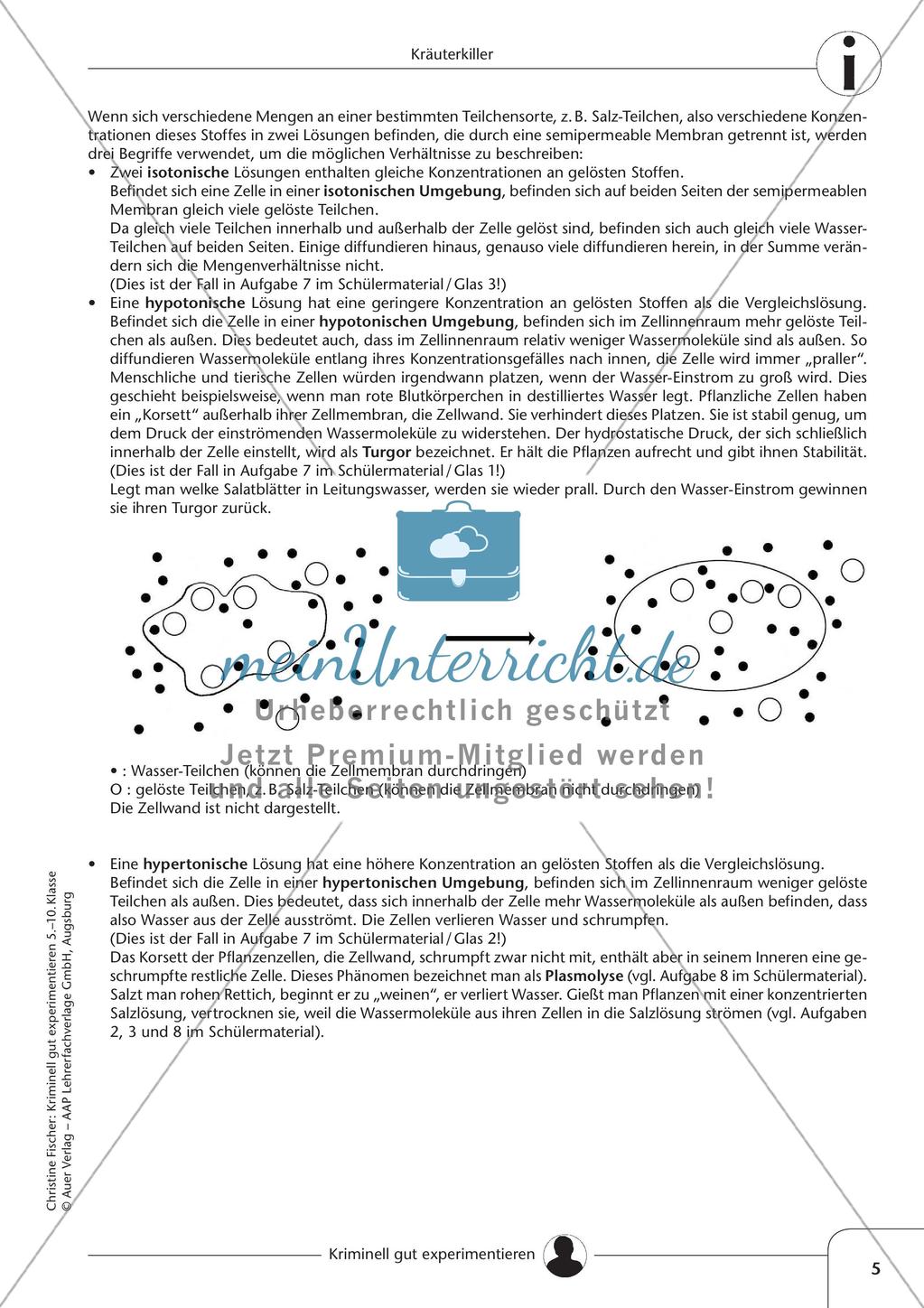 Experimente zur Diffusion und zur Osmose Preview 7