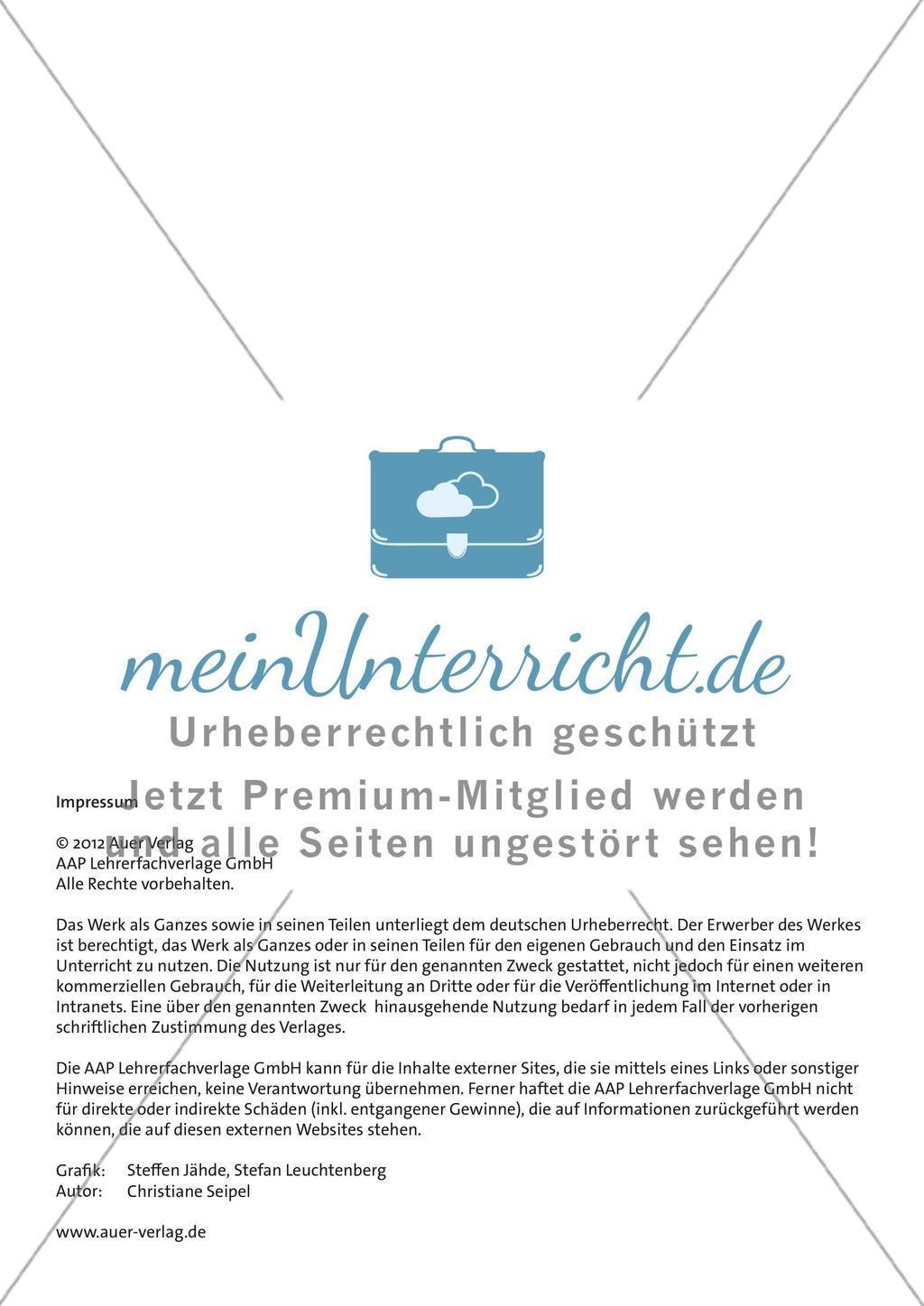 Selbstdarstellung im digitalen Zeitalter Preview 17