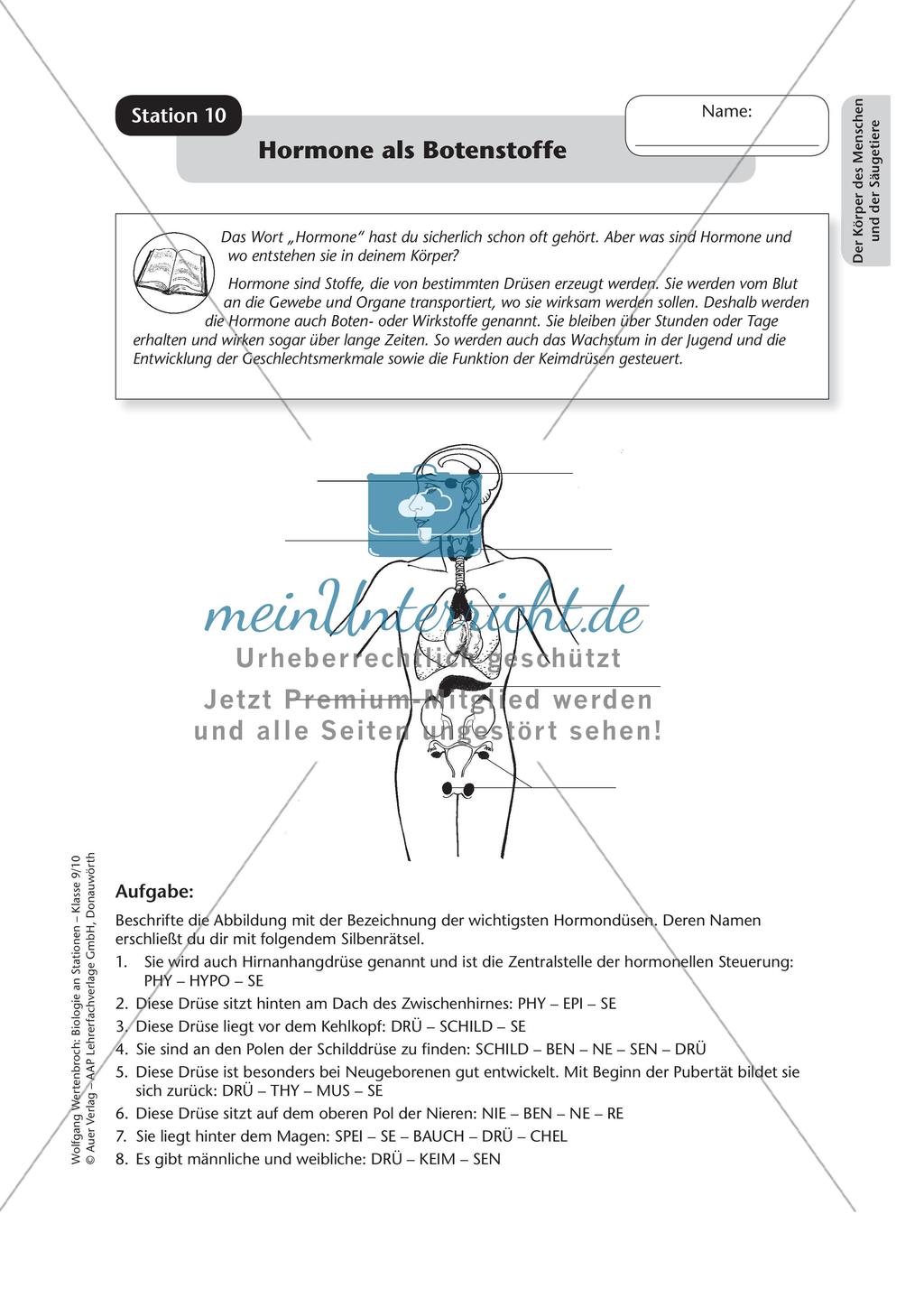 Stationsarbeit zum Thema