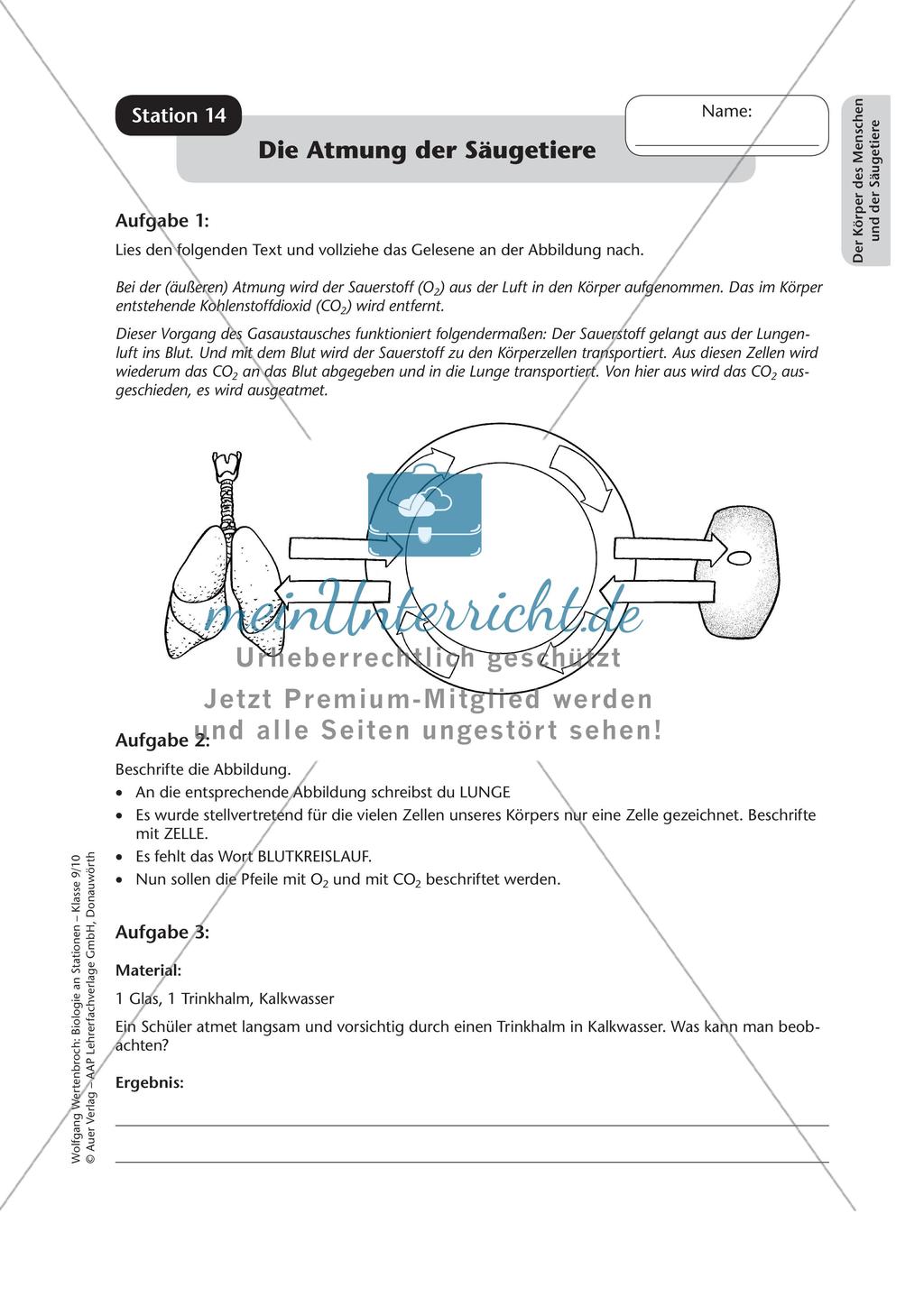 Stationsarbeit zum Thema