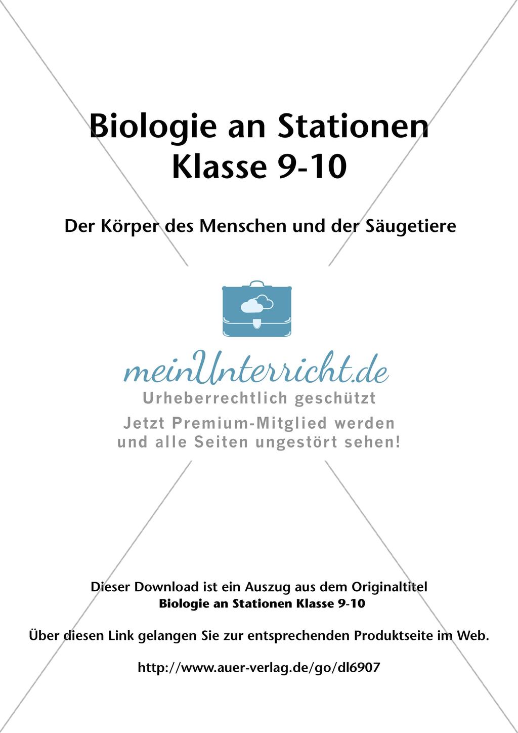 Stationsarbeit zum Thema