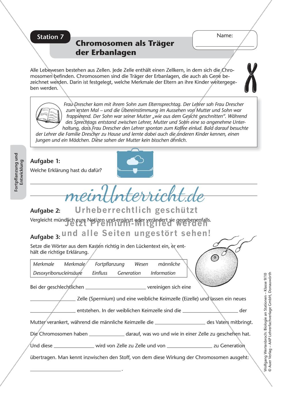 Stationsarbeit zum Thema