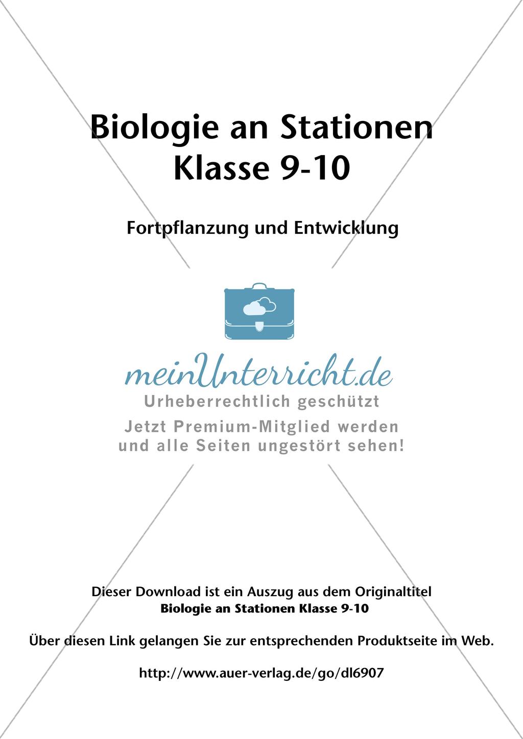 Stationsarbeit zum Thema