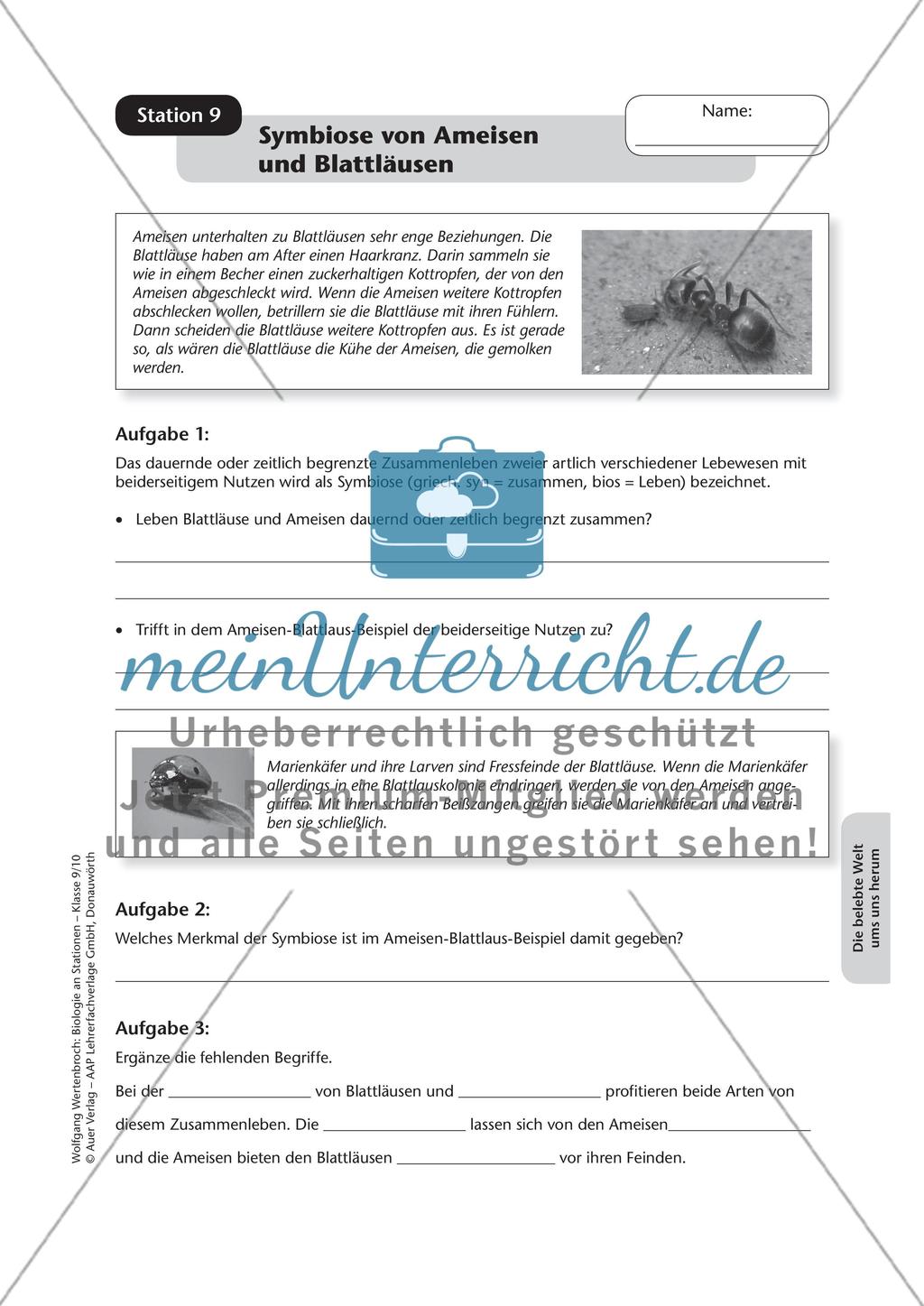 Stationsarbeit zum Thema