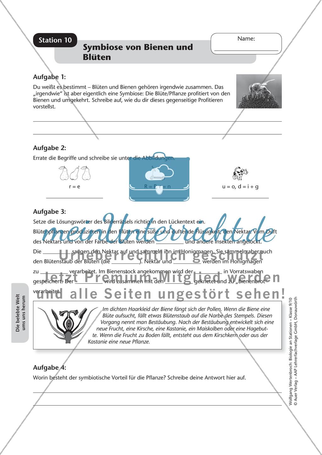 Stationsarbeit zum Thema
