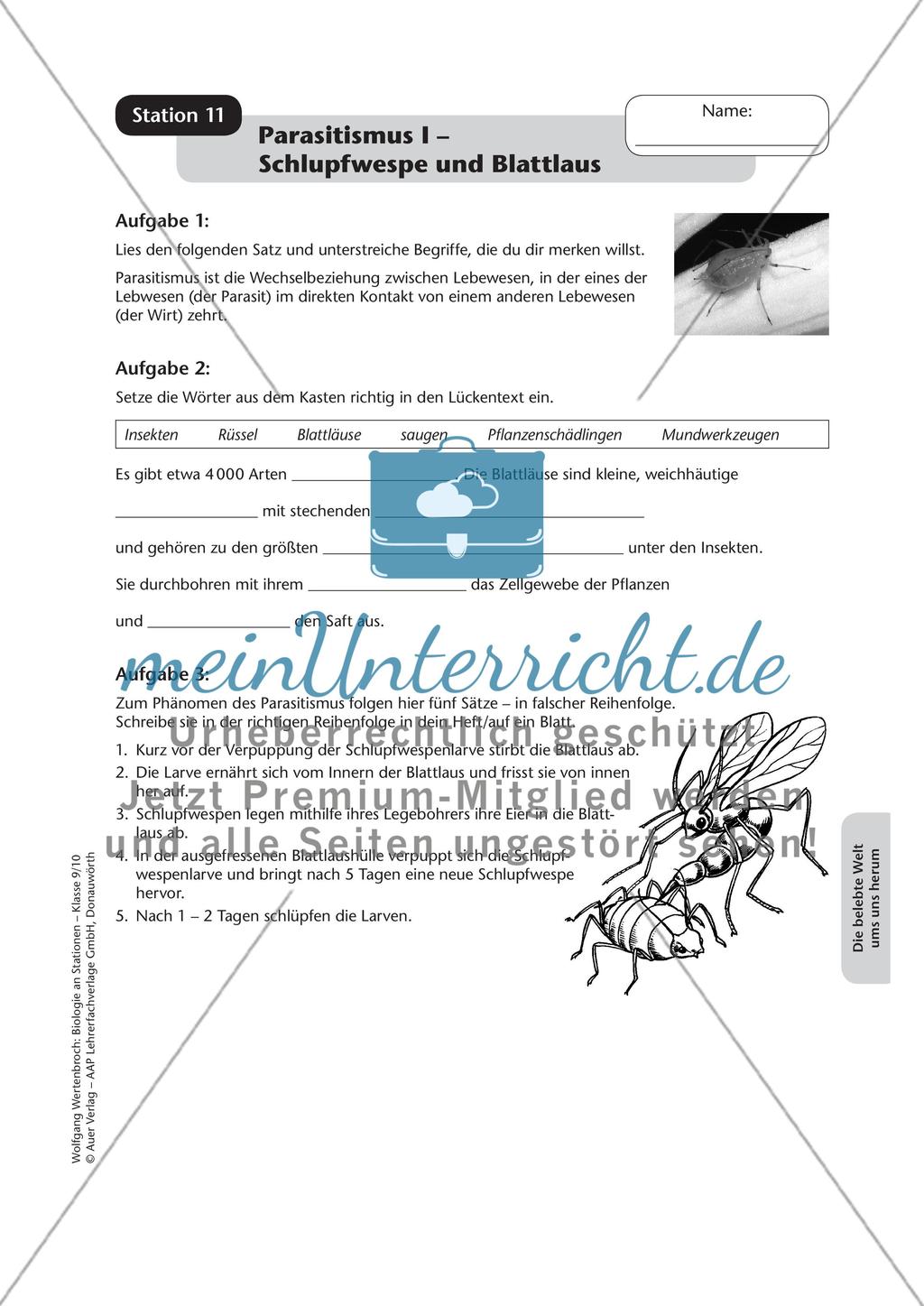 Stationsarbeit zum Thema