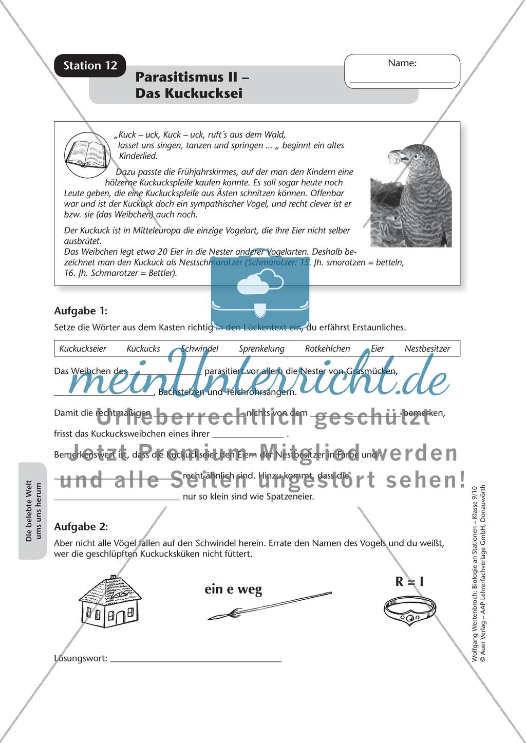 Stationsarbeit zum Thema