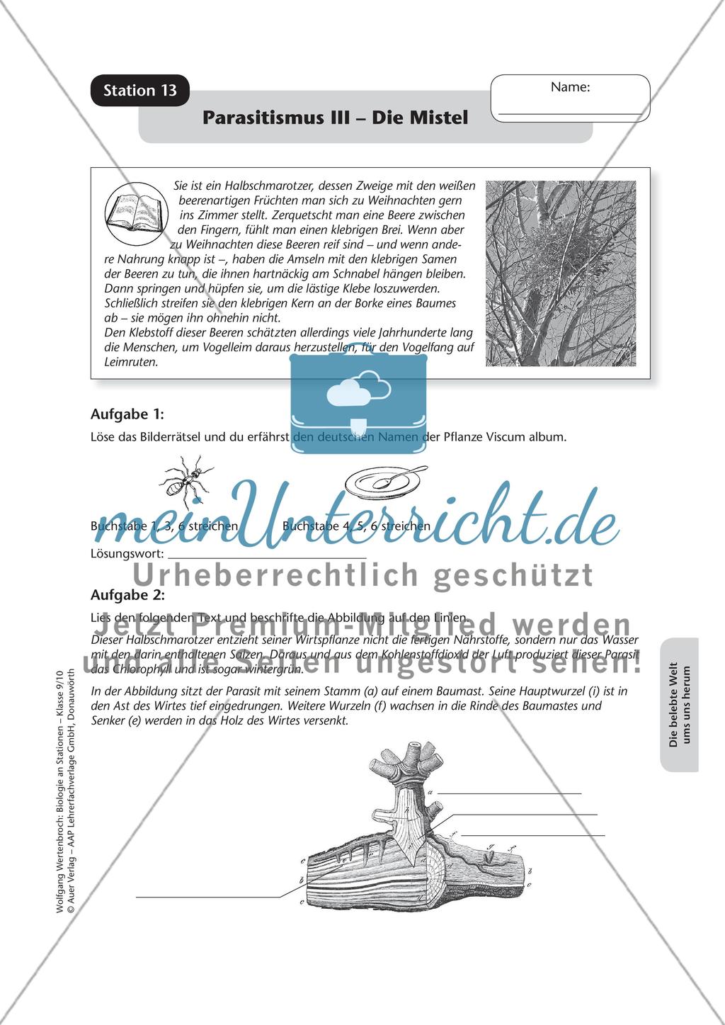 Stationsarbeit zum Thema