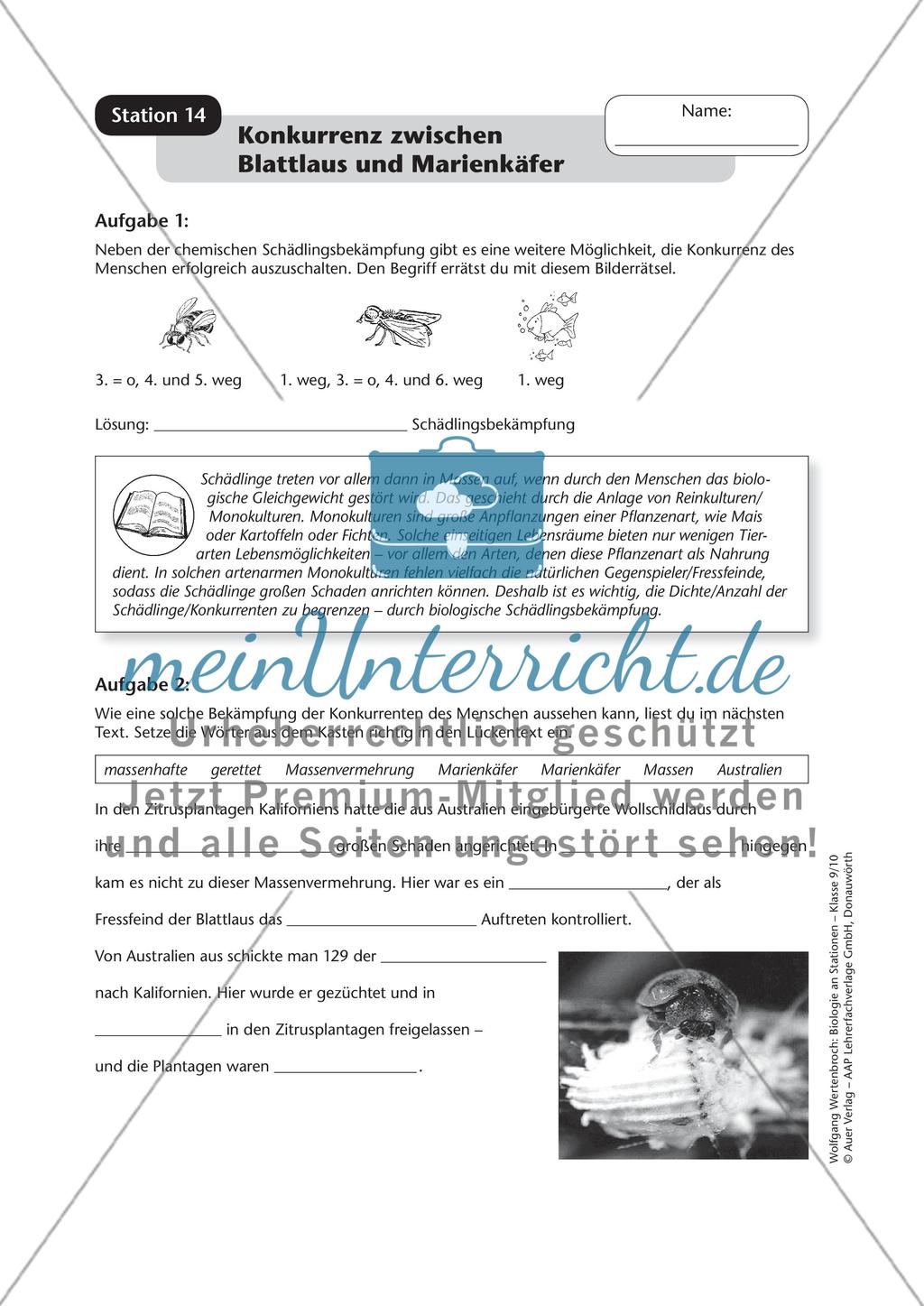Stationsarbeit zum Thema