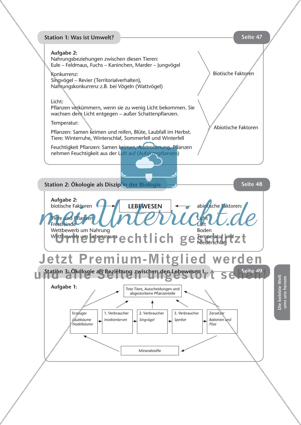Stationsarbeit zum Thema