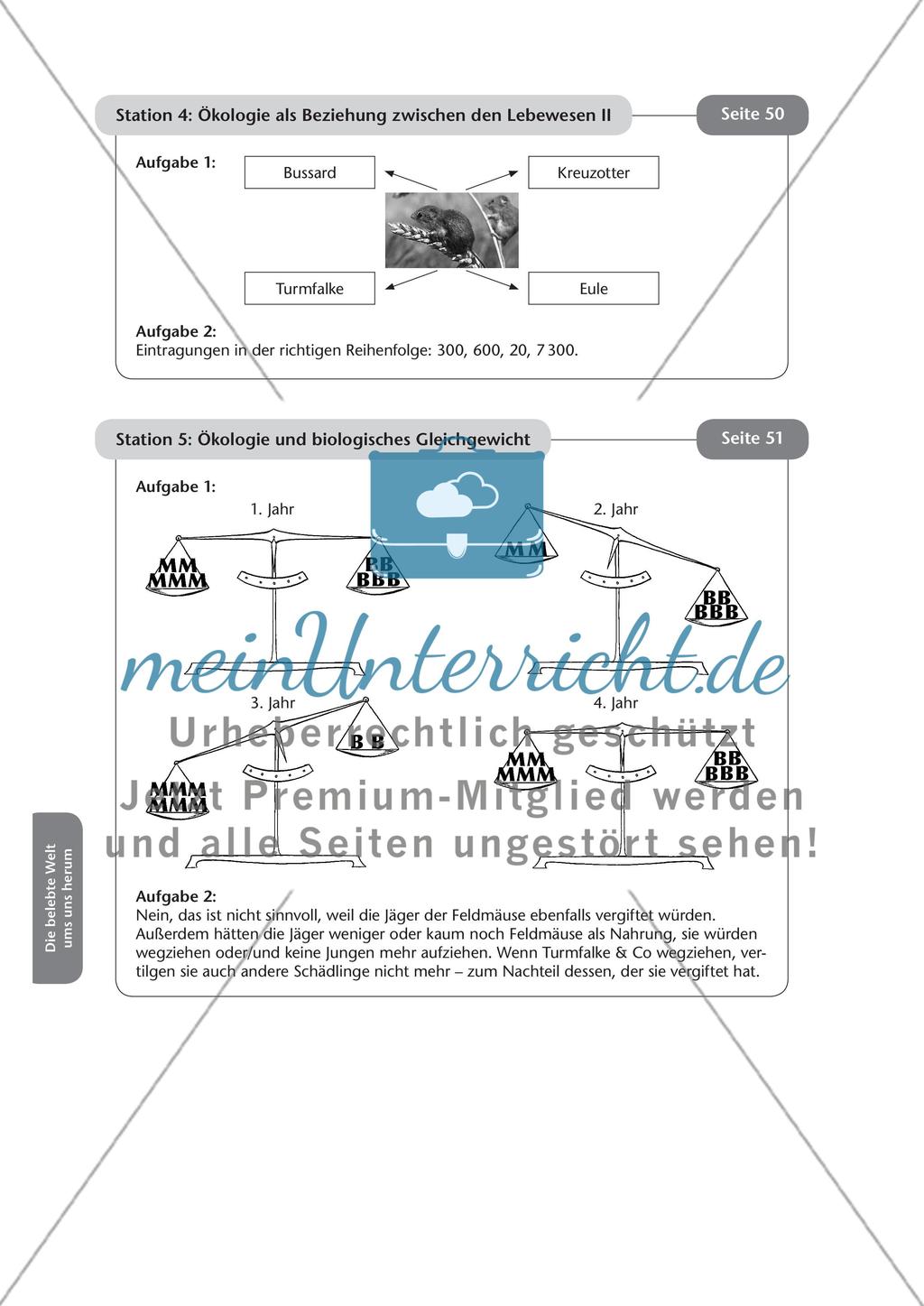 Stationsarbeit zum Thema