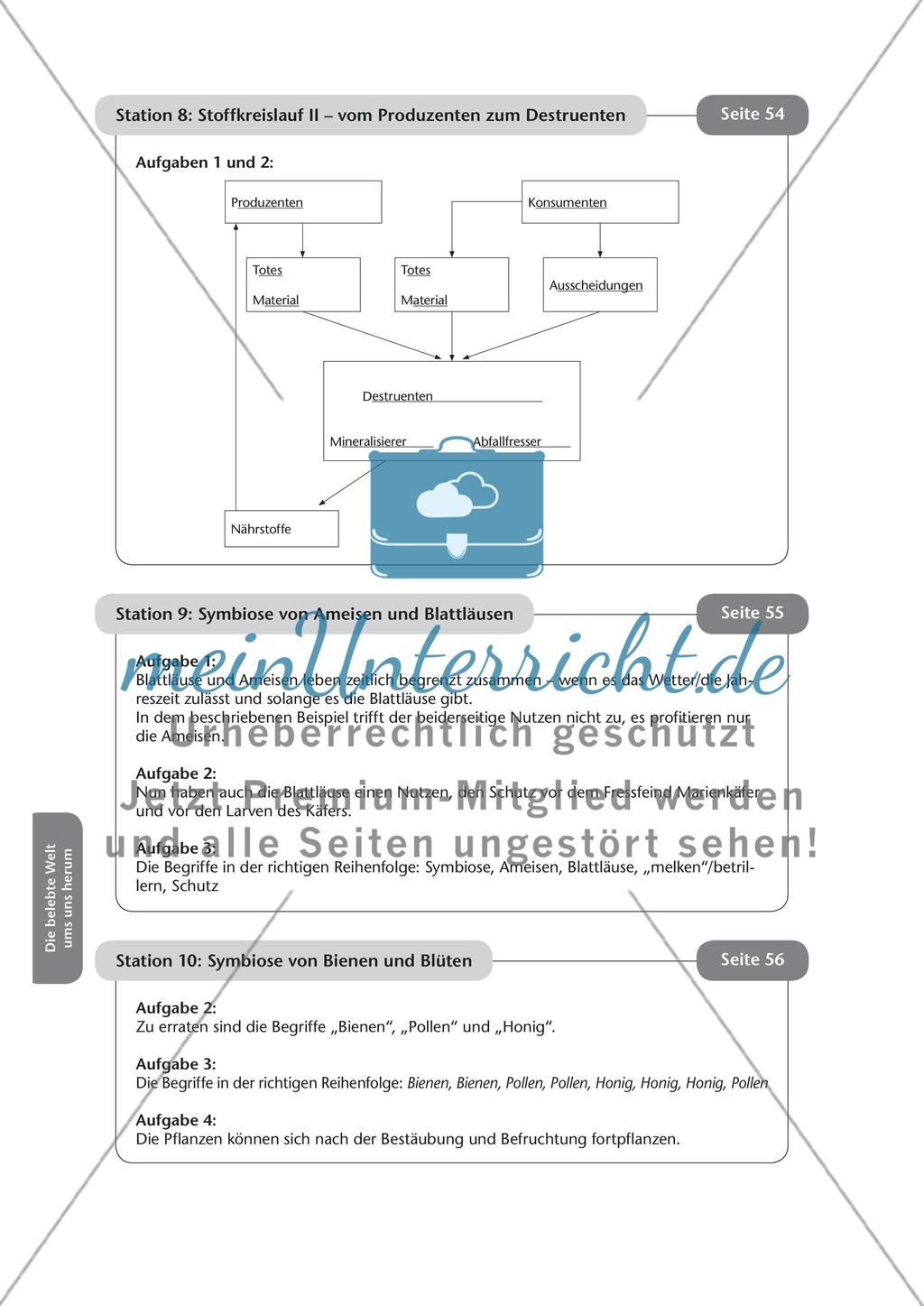 Stationsarbeit zum Thema