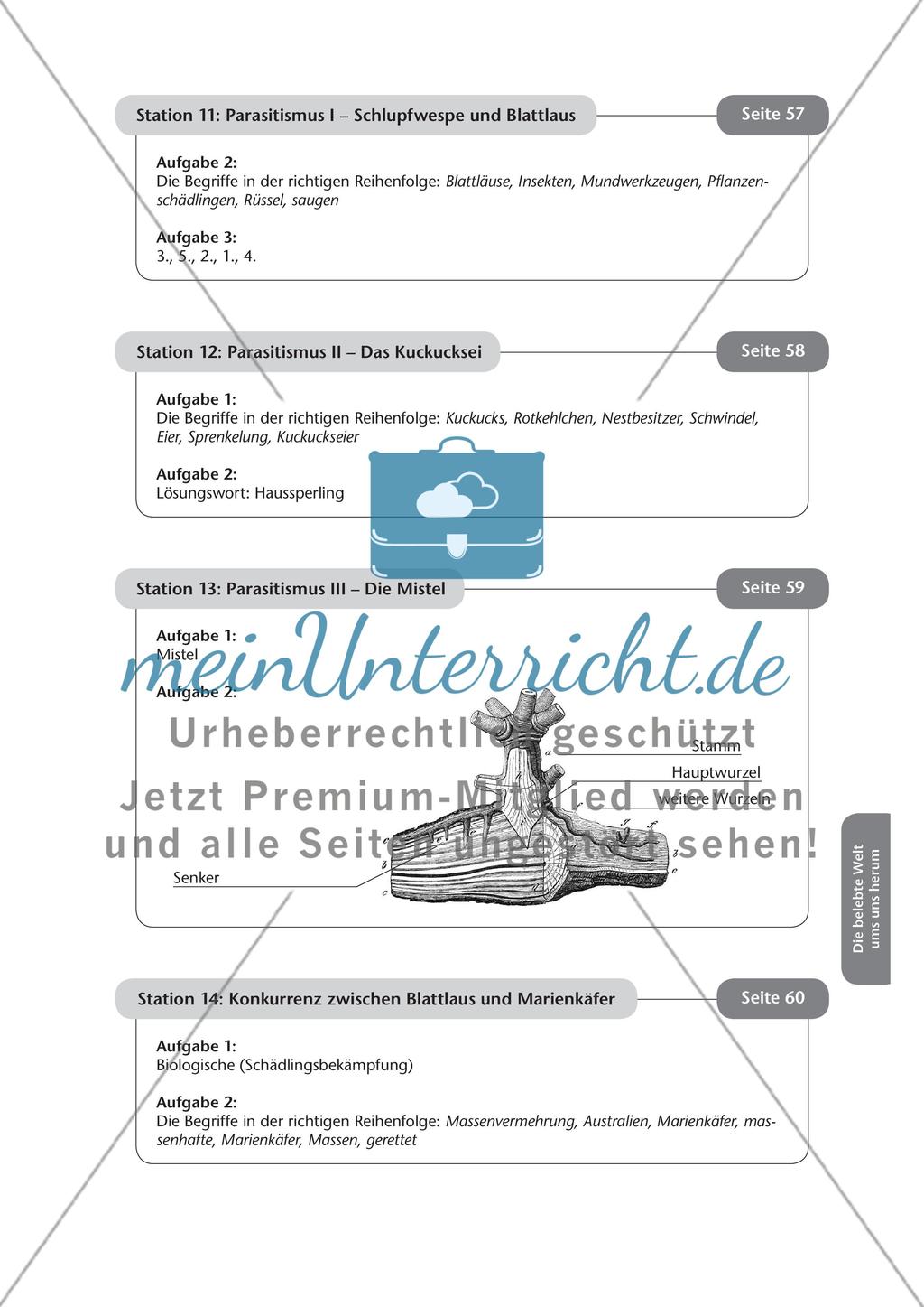 Stationsarbeit zum Thema