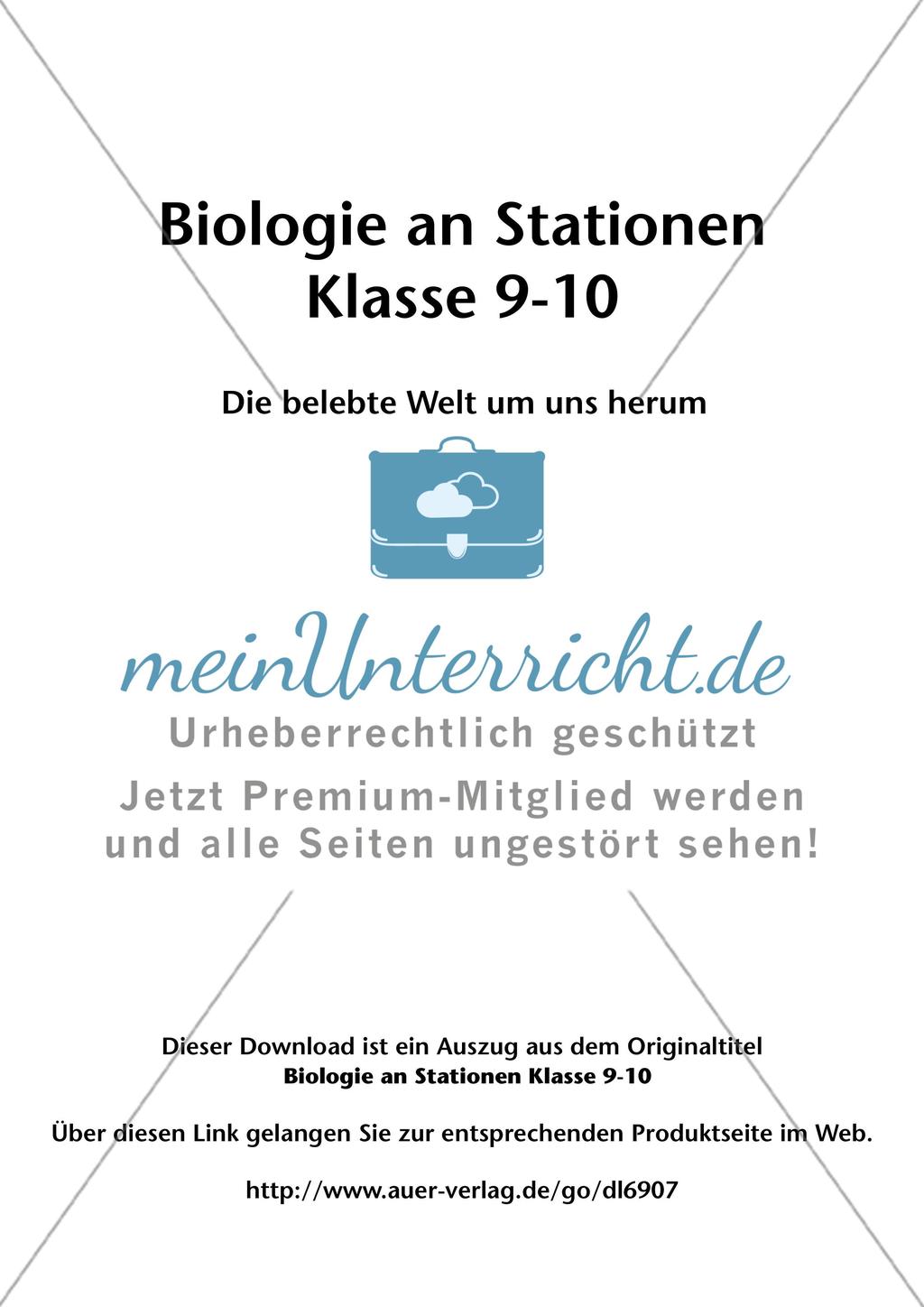 Stationsarbeit zum Thema